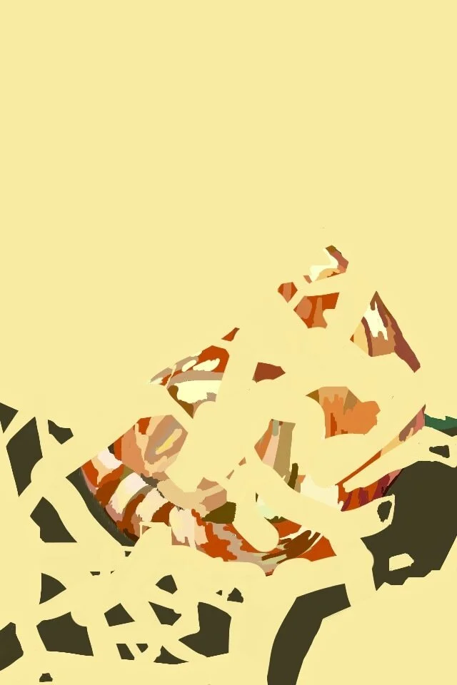 Orange Cat (5/6), 2012, digital painting printed on BFK Rives paper, 17" X 12"