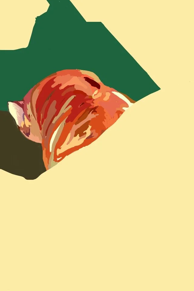 Orange Cat (3/6), 2012, digital painting printed on BFK Rives paper, 17" X 12"