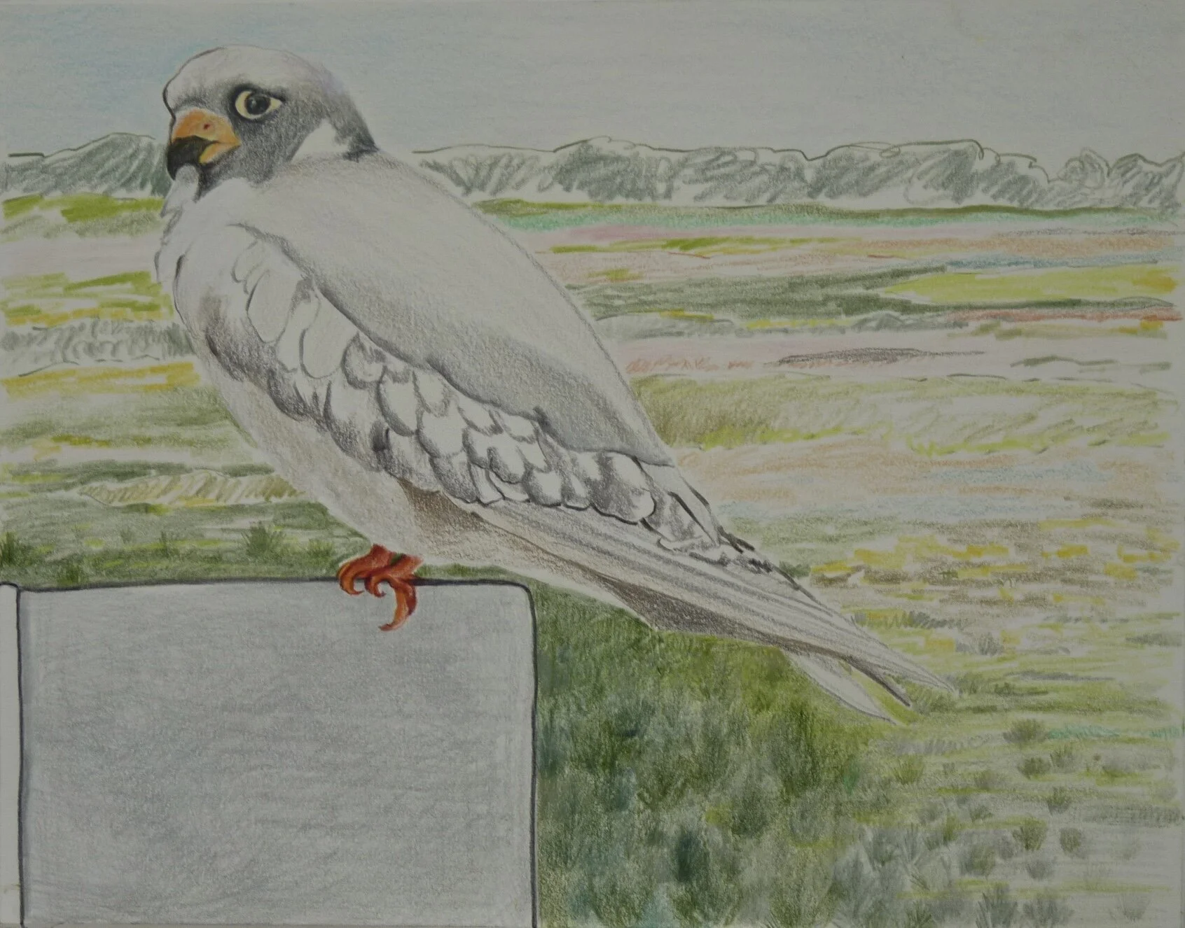 Before Take Off, 2005, colored pencil on museum board, 9” x 12”