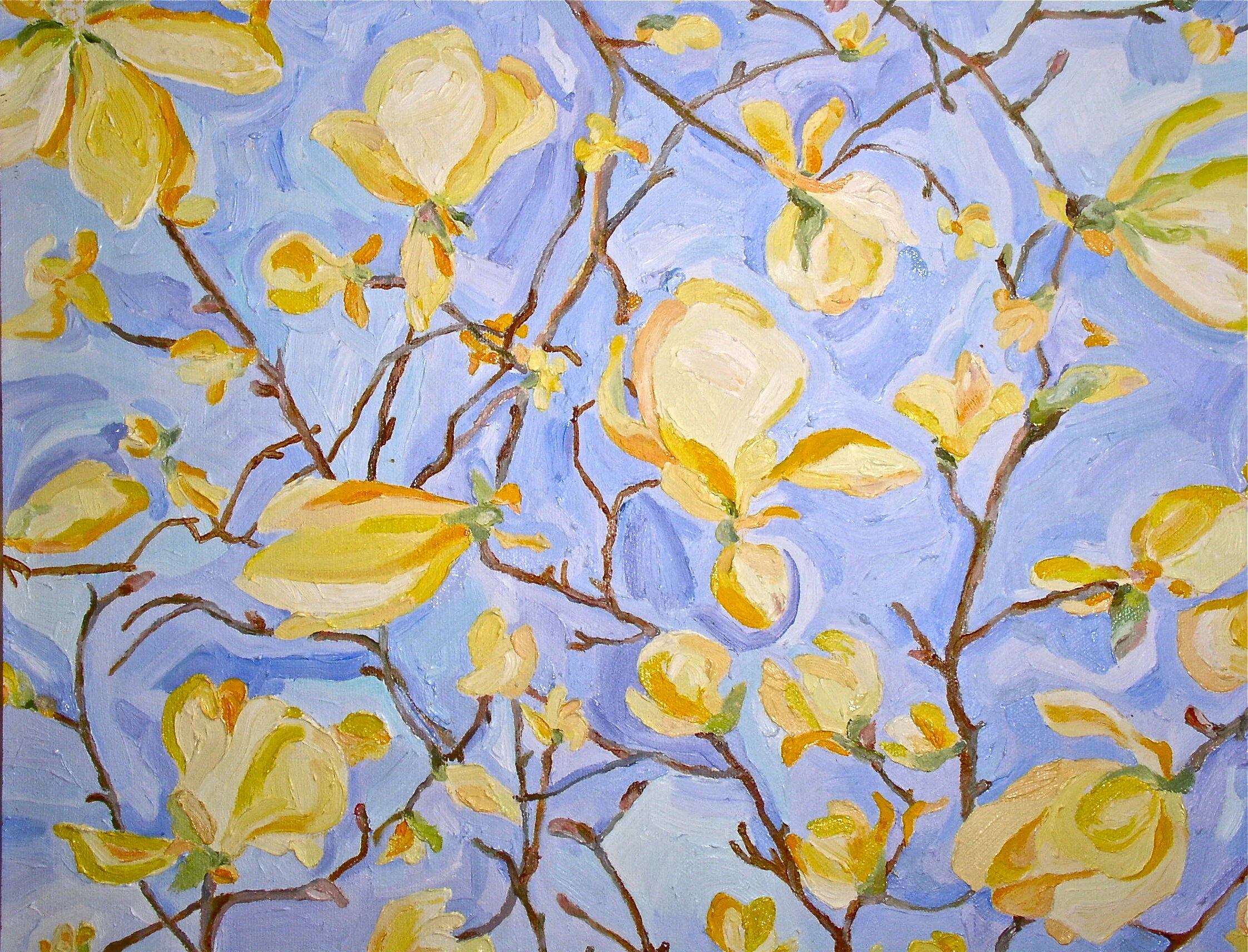 Looking Up in Charlottesville, 2001, oil on canvas, 16” x 22”