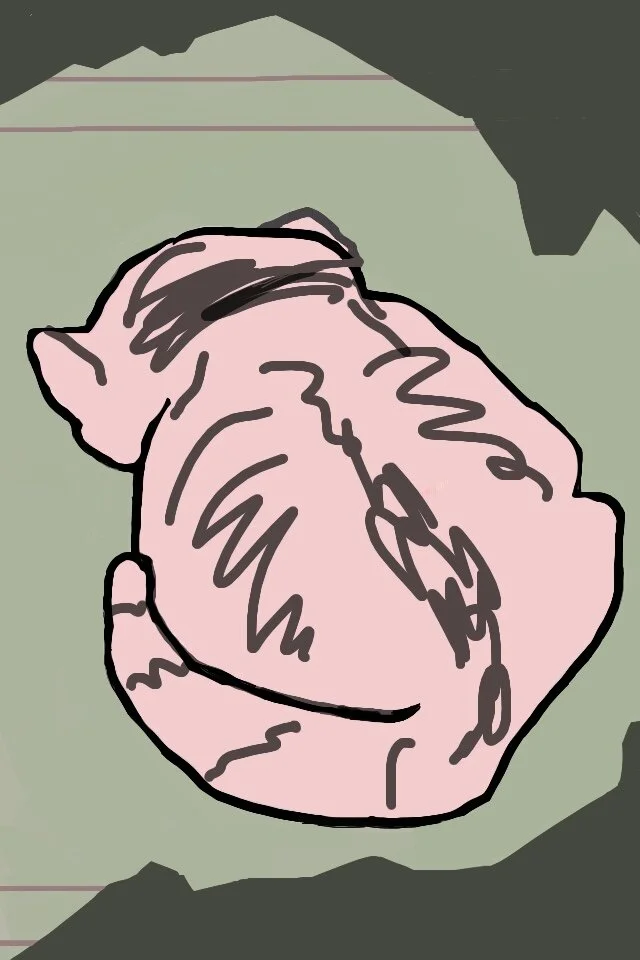 Academic Cat Fragment, digital painting printed on BFK Rives paper, 17" X 12"