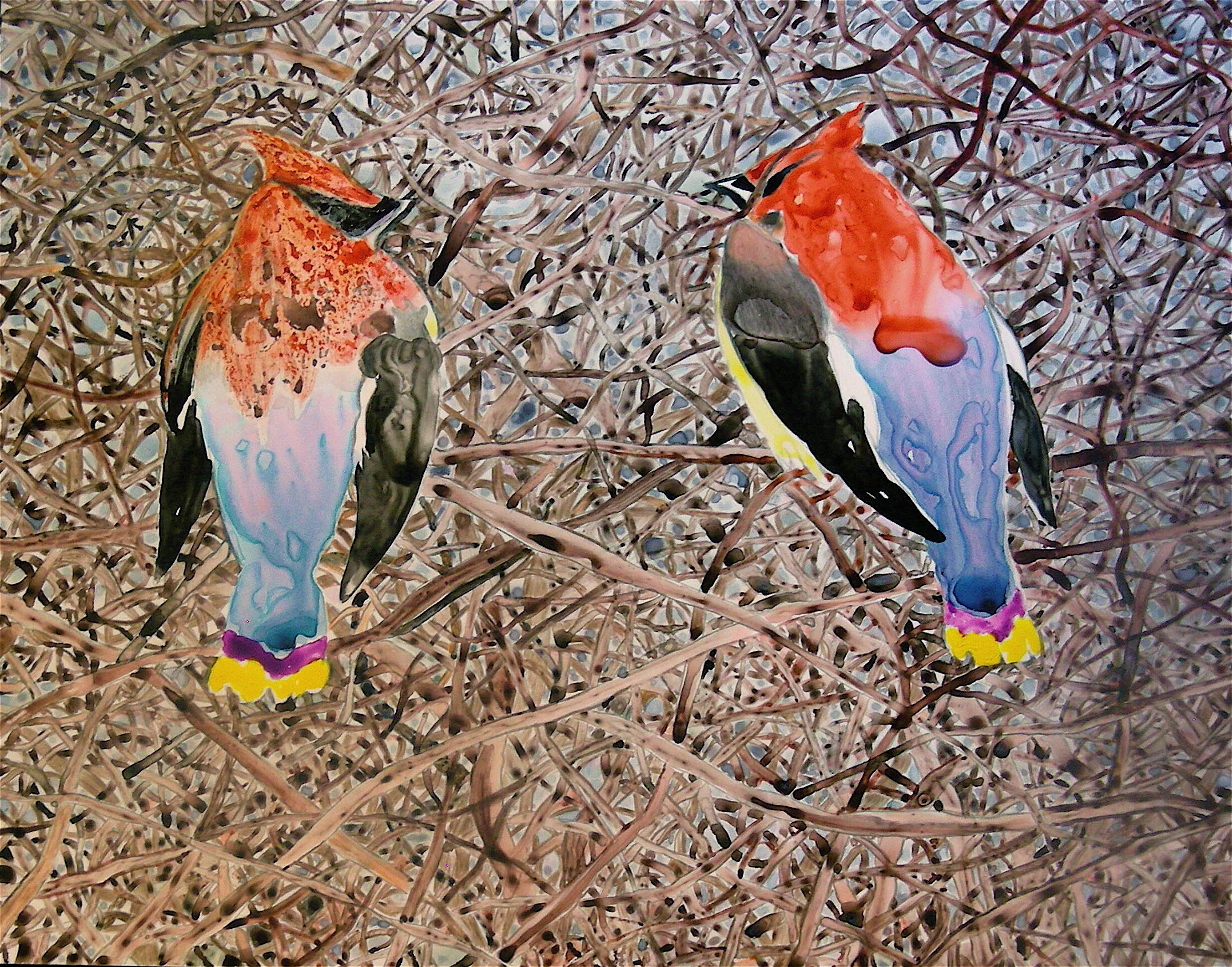 Wet Waxwings, 2008, watercolor and colored pencil on Yupo paper, 14” x 11”