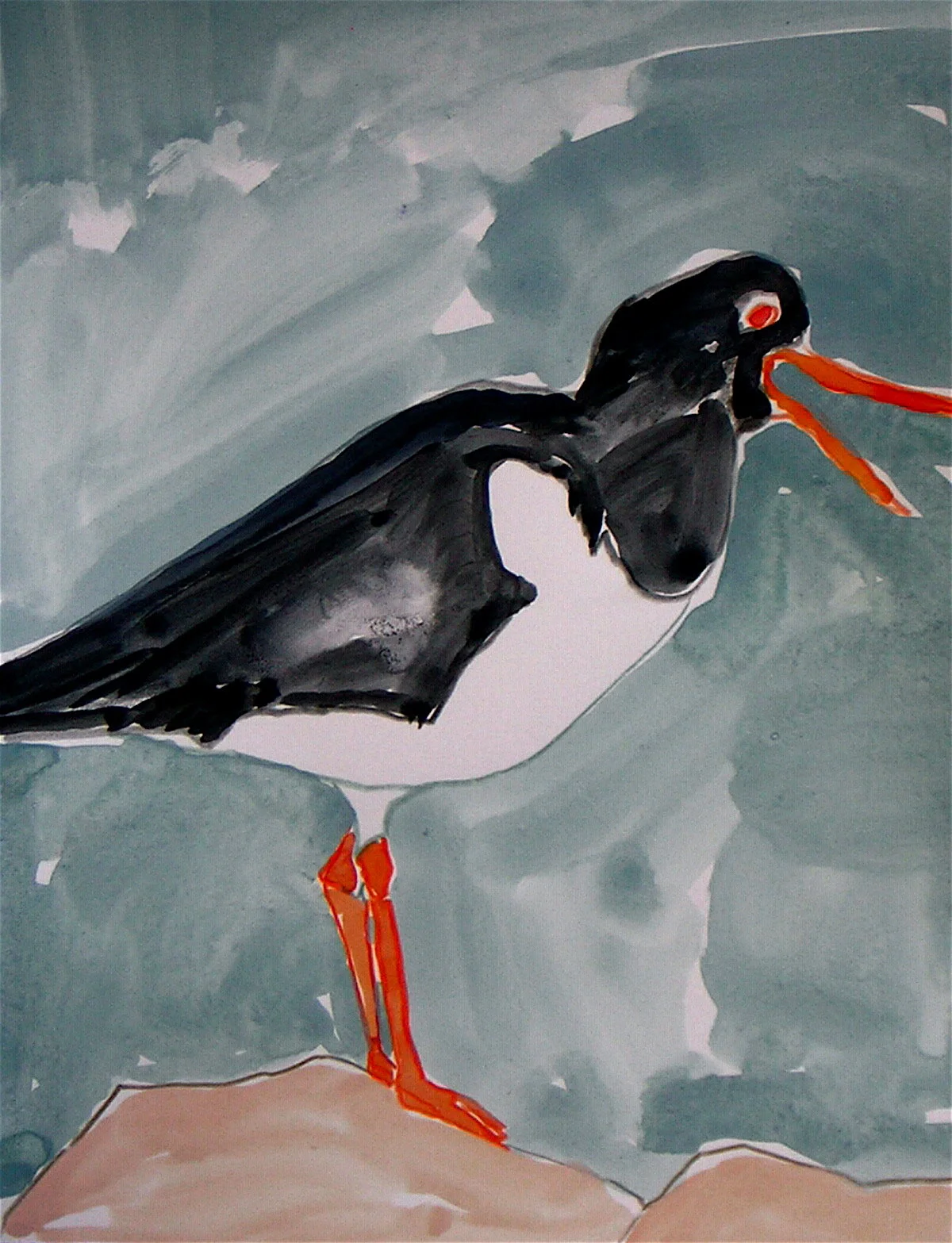 Oyster Catcher, 2008, watercolor on Fabriano paper, 12” x 8.5”