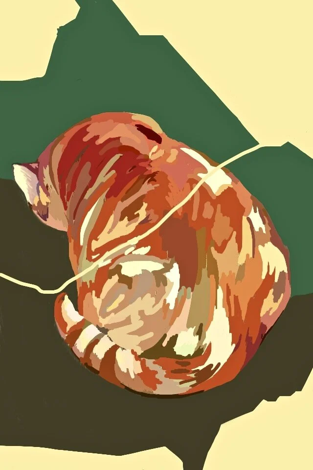 Orange Cat (2/6), 2012, digital painting printed on BFK Rives paper, 17" X 12"