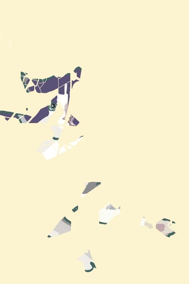 Pieces of Lazlo (1/4), 2012, digital painting printed on BFK Rives paper, 17” x 11”