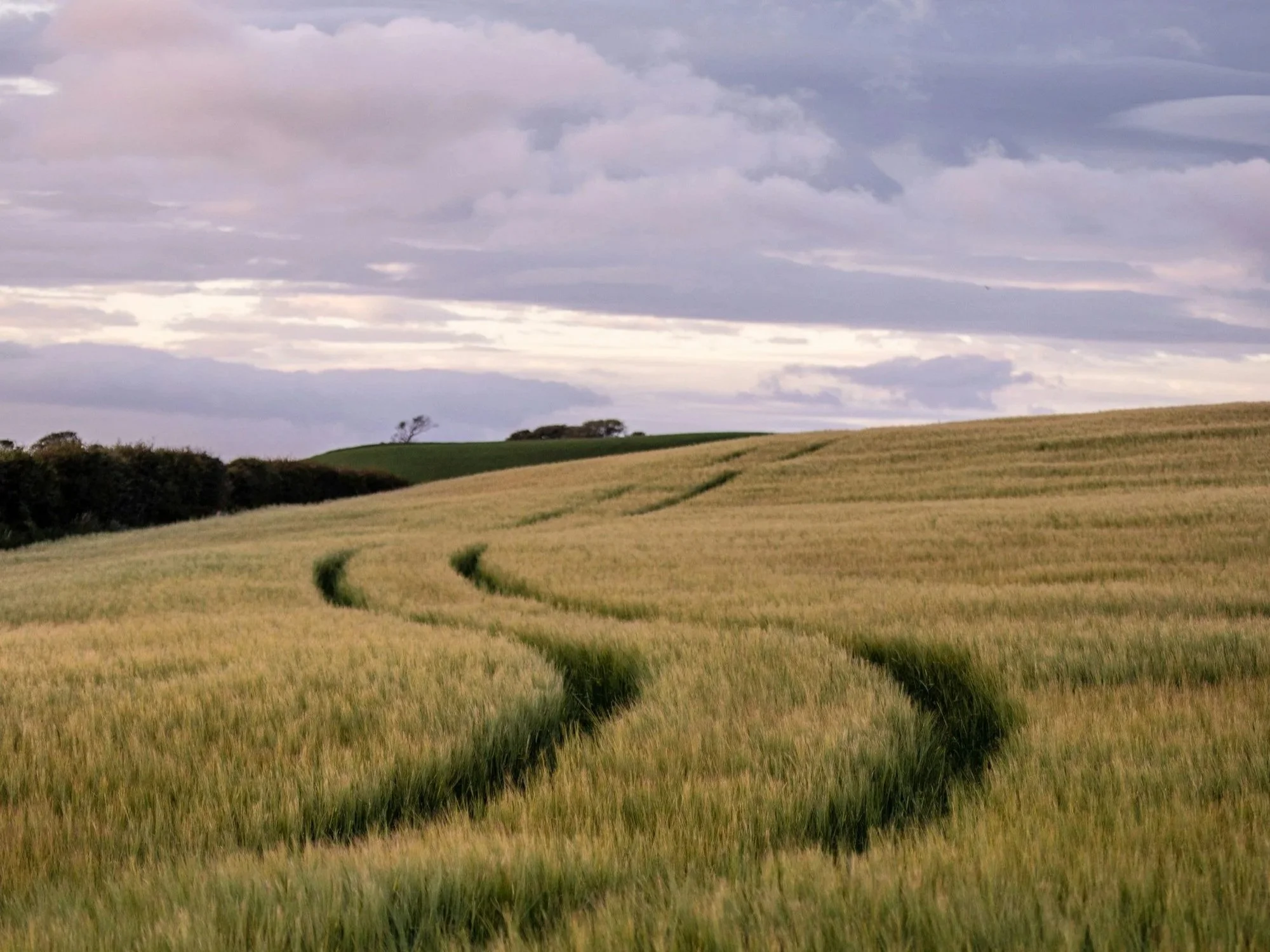 Theology Terms Explained: “Sufficiency of Scripture”