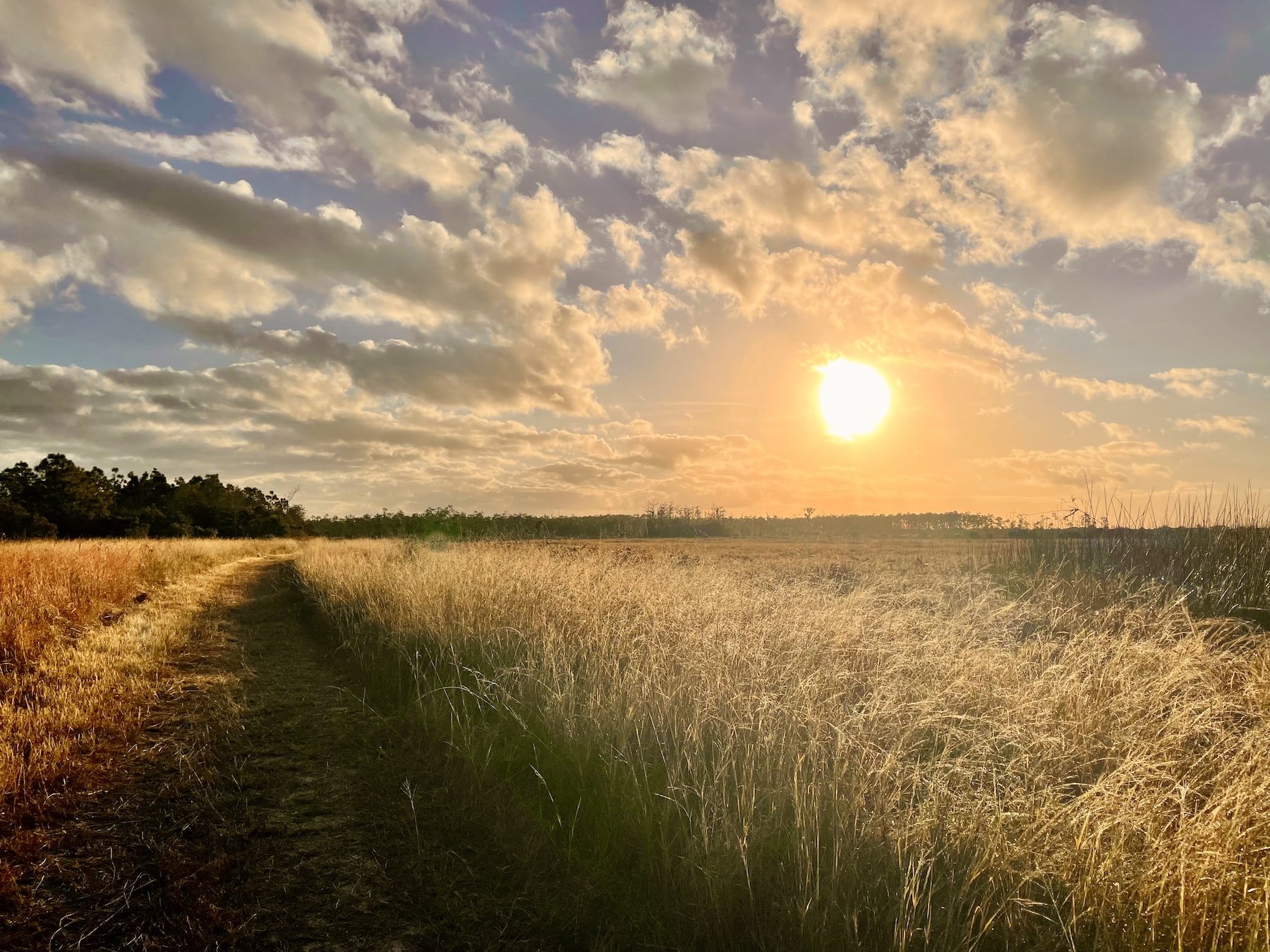 Image by Josie RavenWing