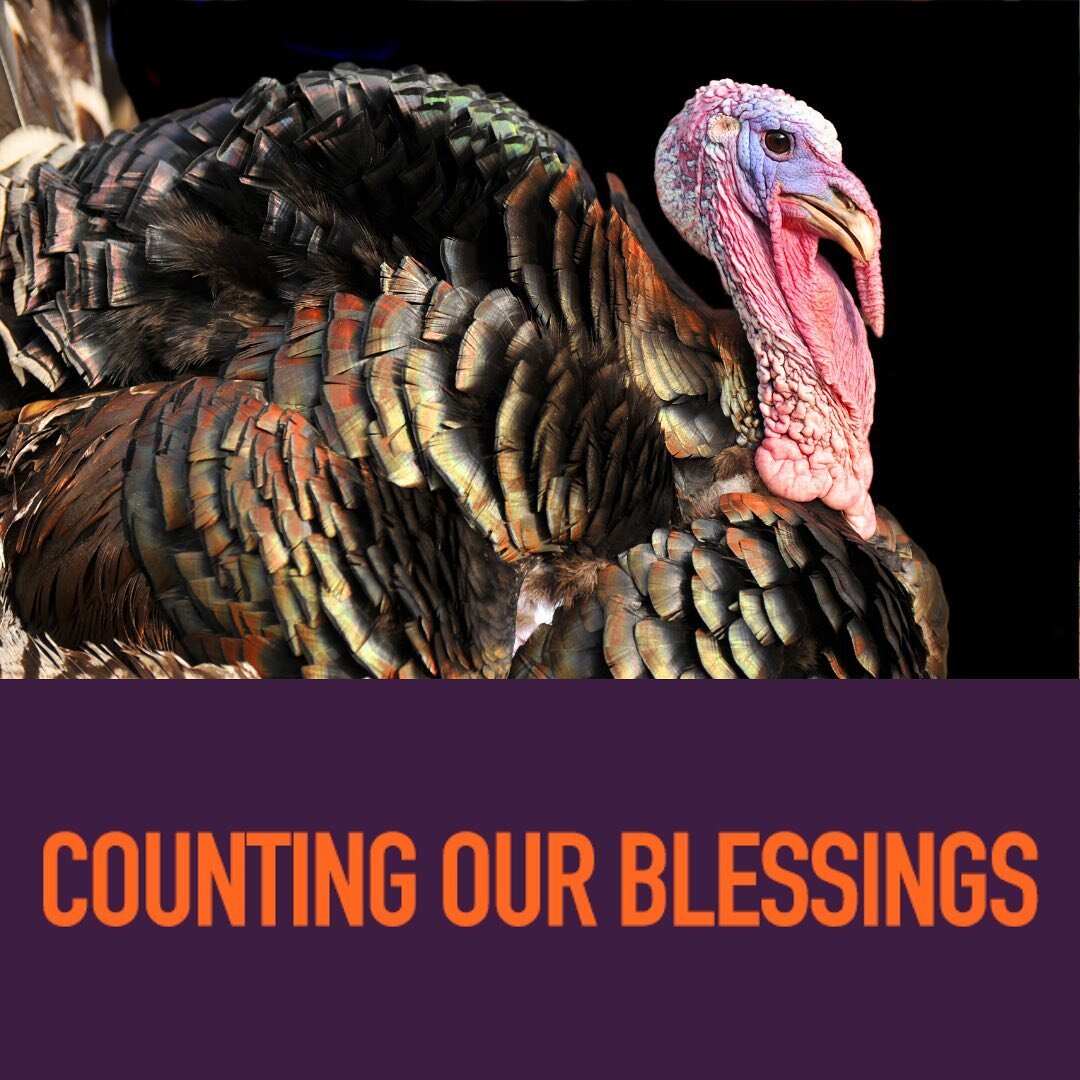 Each and every day, we at Gobble Mountain count our blessings and realize how fortunate we are to be working side by side with family and friends in making an all-natural elixir that will help keep you and your family healthy. 
🦃🦃🦃🦃
If you are lo
