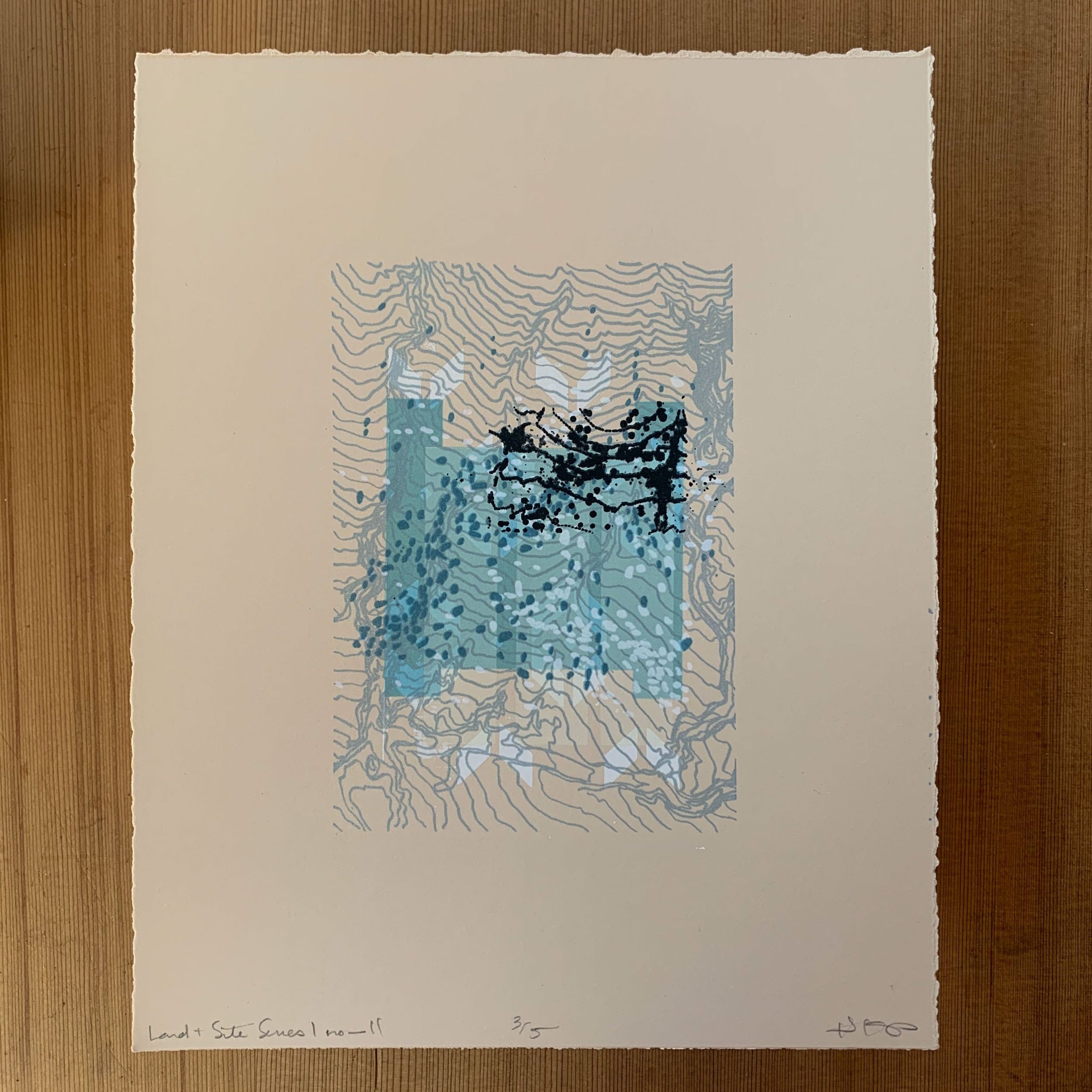 Land+%2B+Site+Series%2C+no.+11+-1-2.jpg