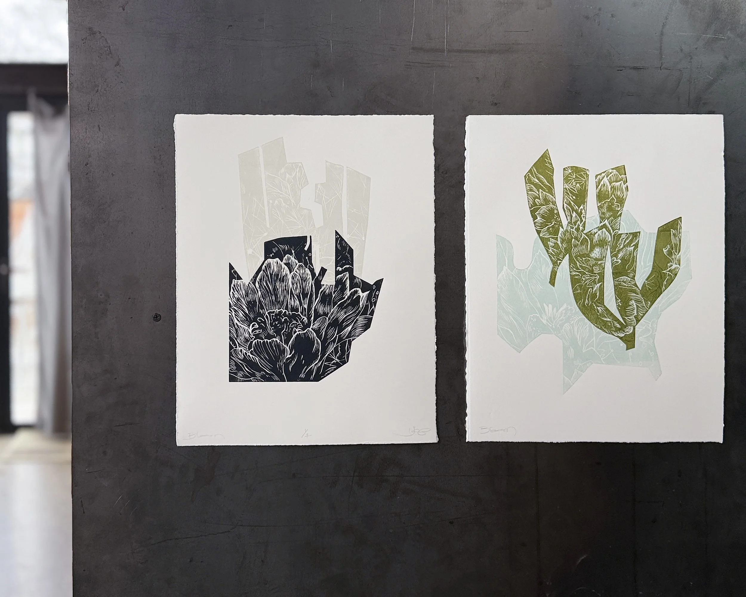 Two Botanicals_Context.jpg