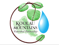 Screen Shot 2021-04-05 at 4.37.21 PM.png