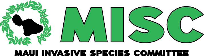 MISClogoGreen-trans (1).png