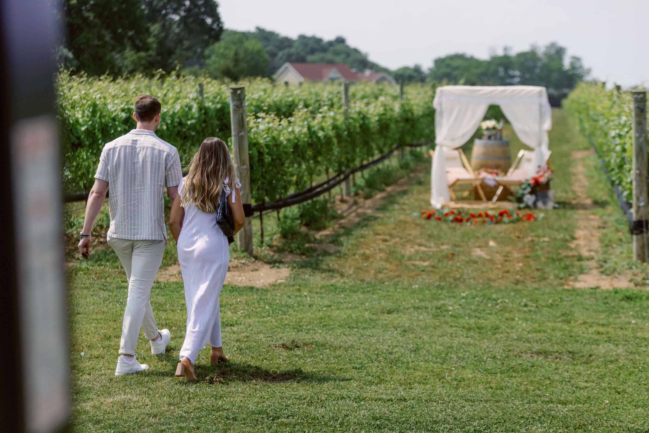 JamesSanninoVineyardProposalNorthForkWeddingFilms (9 of 102).jpg