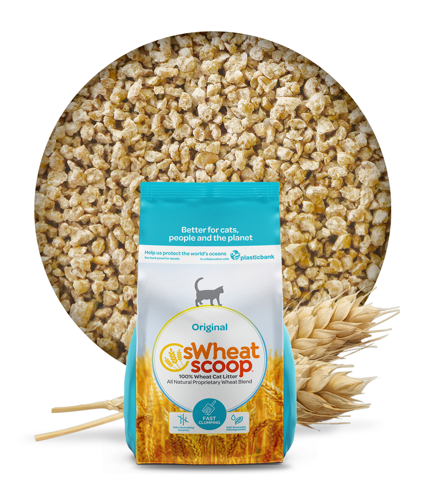 sWheat Scoop All-Natural Cat Litter 