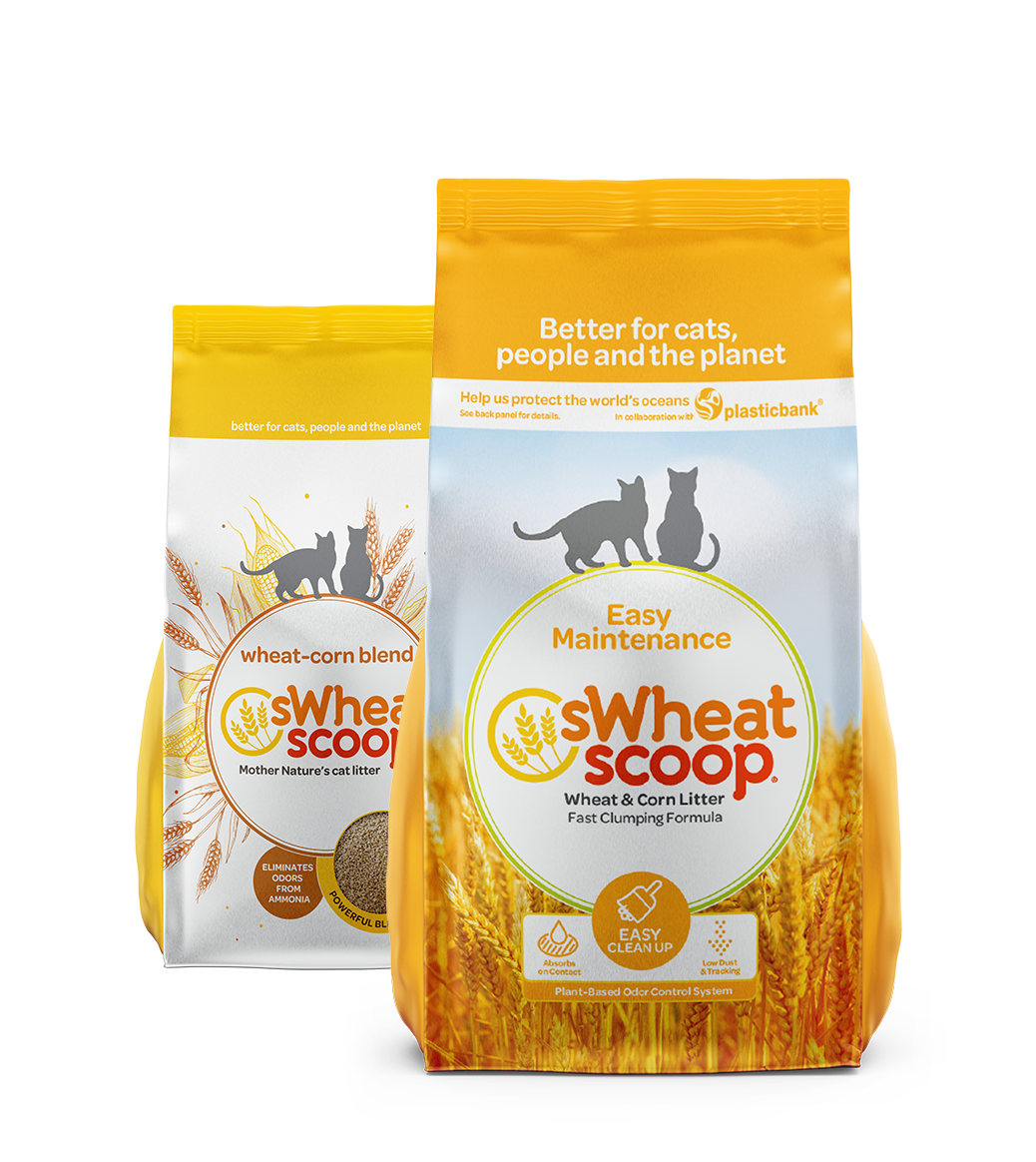 pumpkin spice cat litter