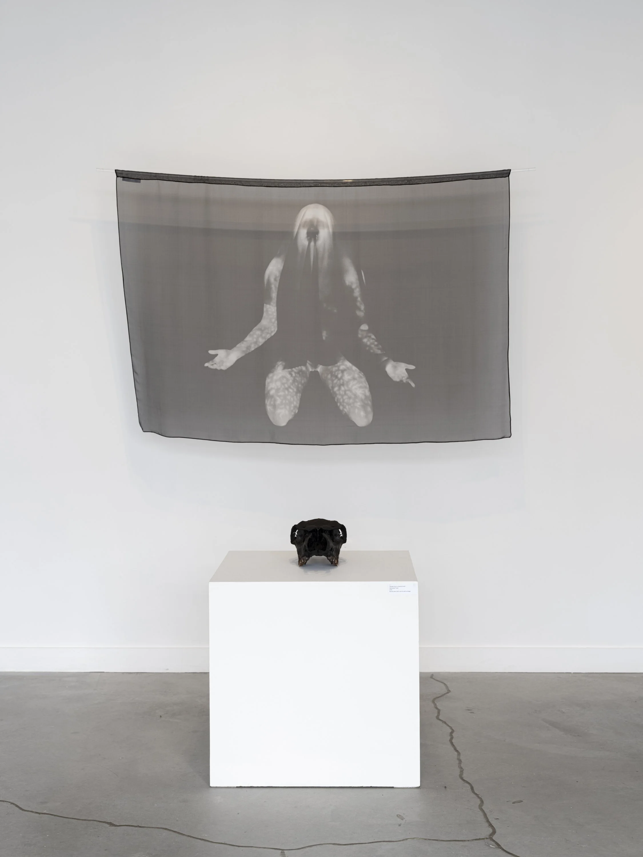 'Celestial Navigator (Shroud)', 2025, archival pigment print, Royal Silk chiffon banner, plexiglass rod, 40 x 60 inches, unique.