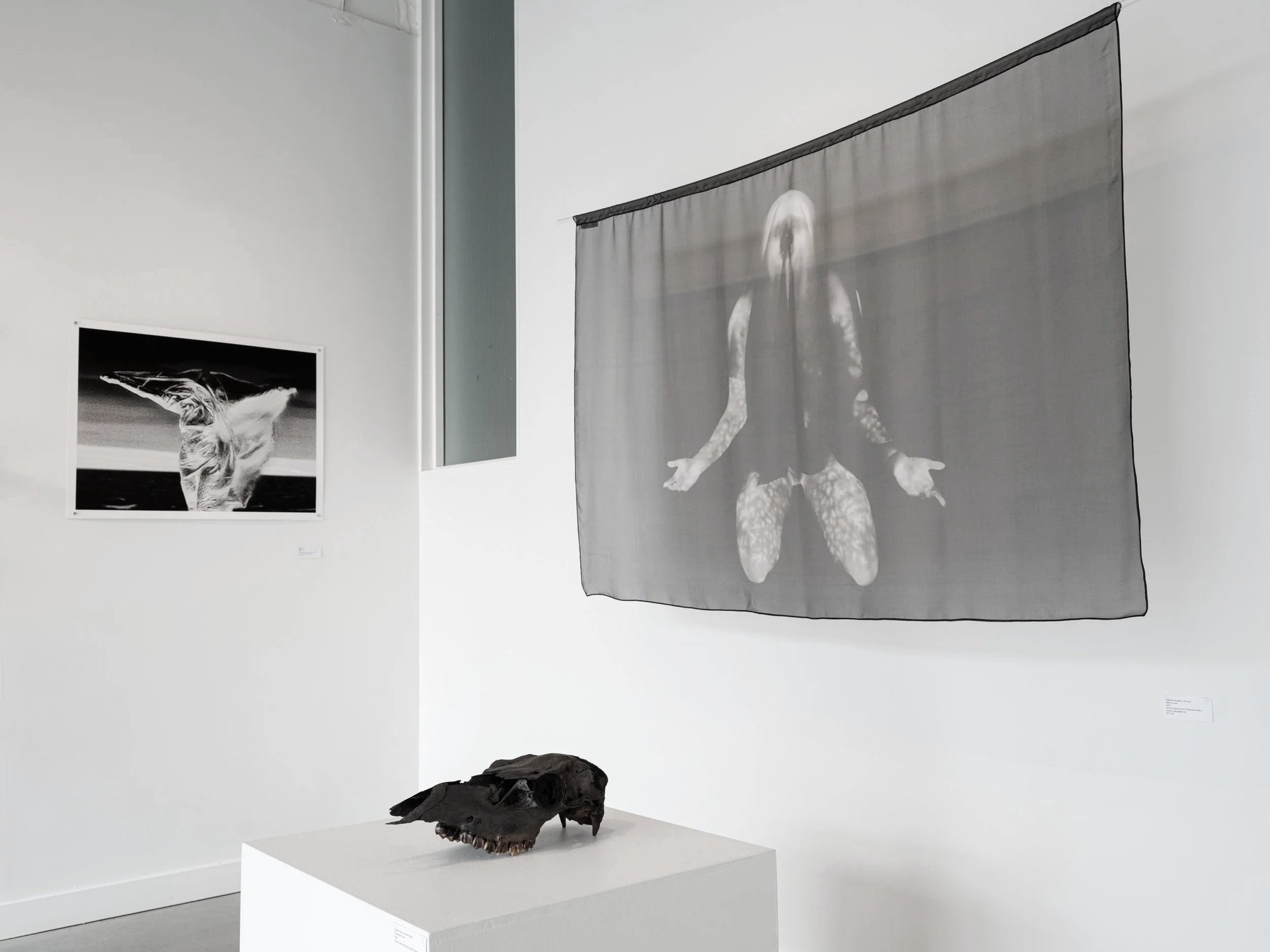 THANATOPSIS Exhibition and Workshops