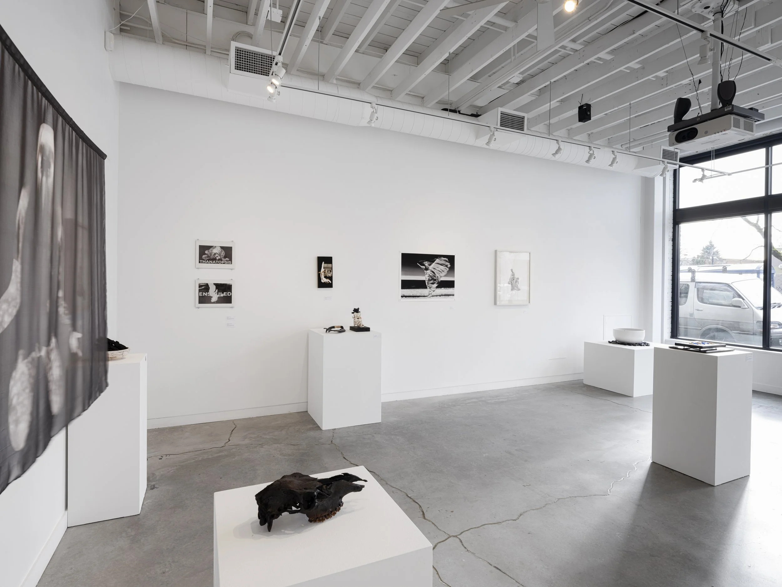 Installation view.