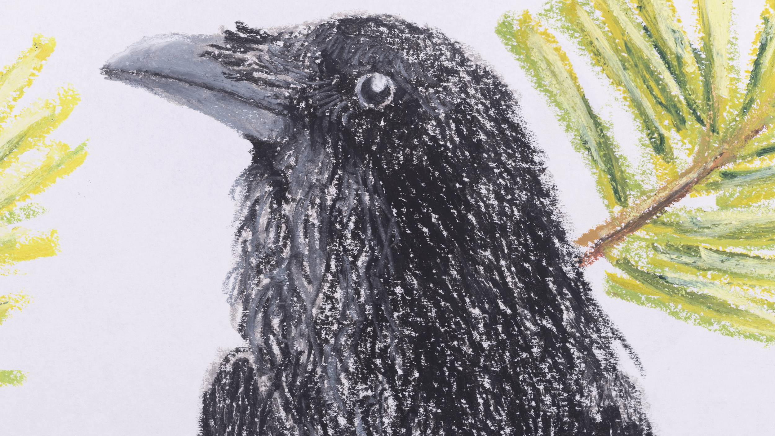 Dave's Crow friends!
Key art from 'Embodied' by Samuel W. Smith.