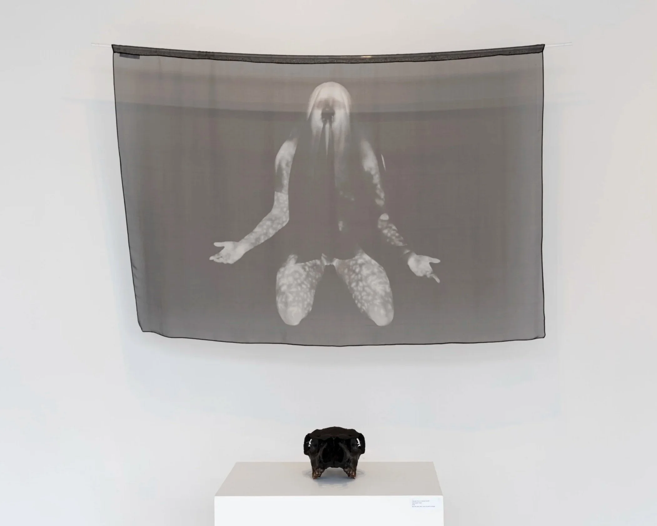 'Celestial Navigator (Shroud)' 2025, IRT video still as archival pigment print on Royal Silk chiffon, plexiglass rod, 40 x 60 inches, unique.
Bottom: Biochar animal skull by Dardinelle Troen.
