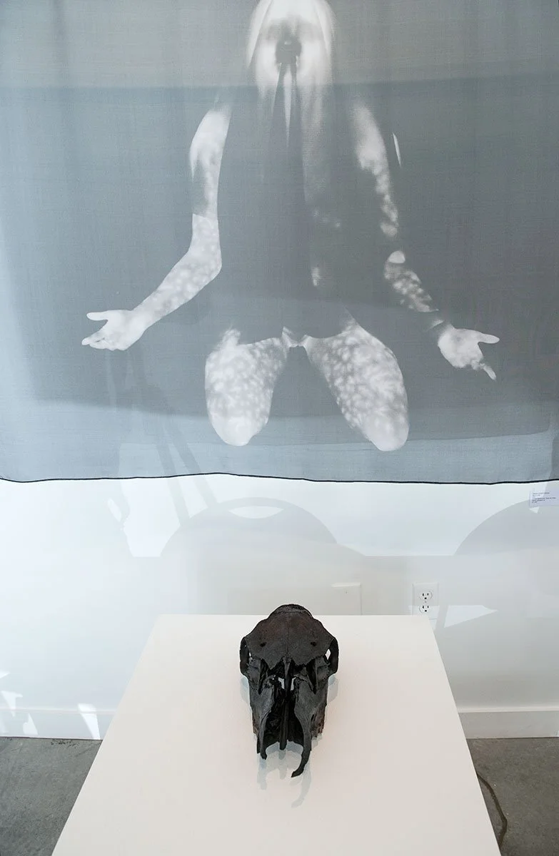 Top: 'Celestial Navigator (Shroud)', Marne Lucas. Bottom: Biochar skull by Dardinelle Troen.