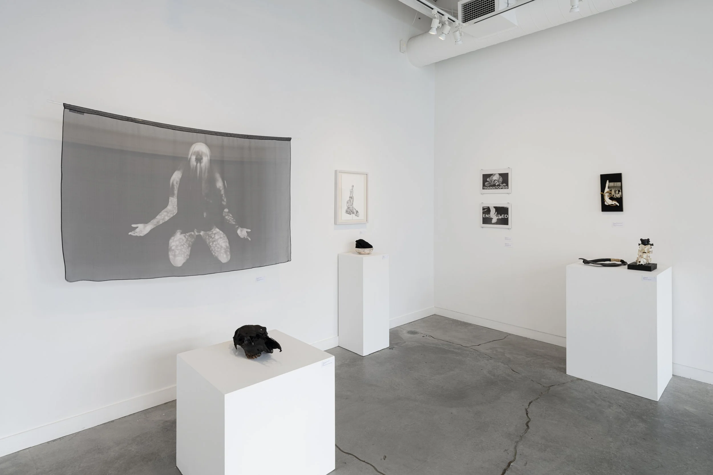 Installation view.