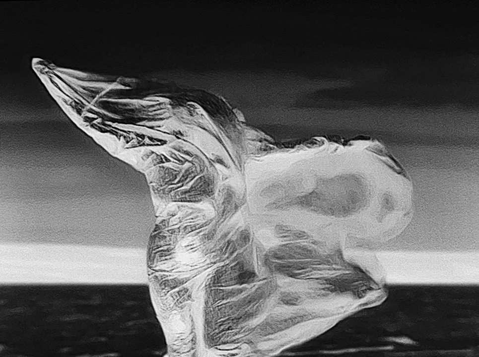 'Felt Presence,' 2025, archival pigment print on Hahnemuhle Photo Rag paper, 22 x 30 inches.