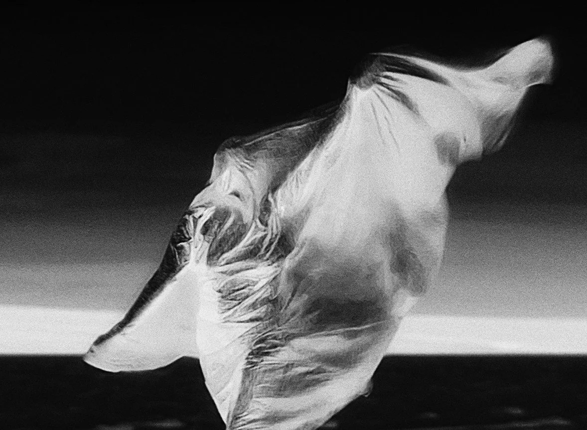 "There You Go Again (Fiery Sails Ripping In The Wind)
2025, archival pigment print on Hahnemuhle photo rag paper, 22 x 30 inches.

Infrared thermal video still shot at a 2025 PLAYA Summerlake artist residency.
From the exhibition 'THANATOPSIS: A Medi