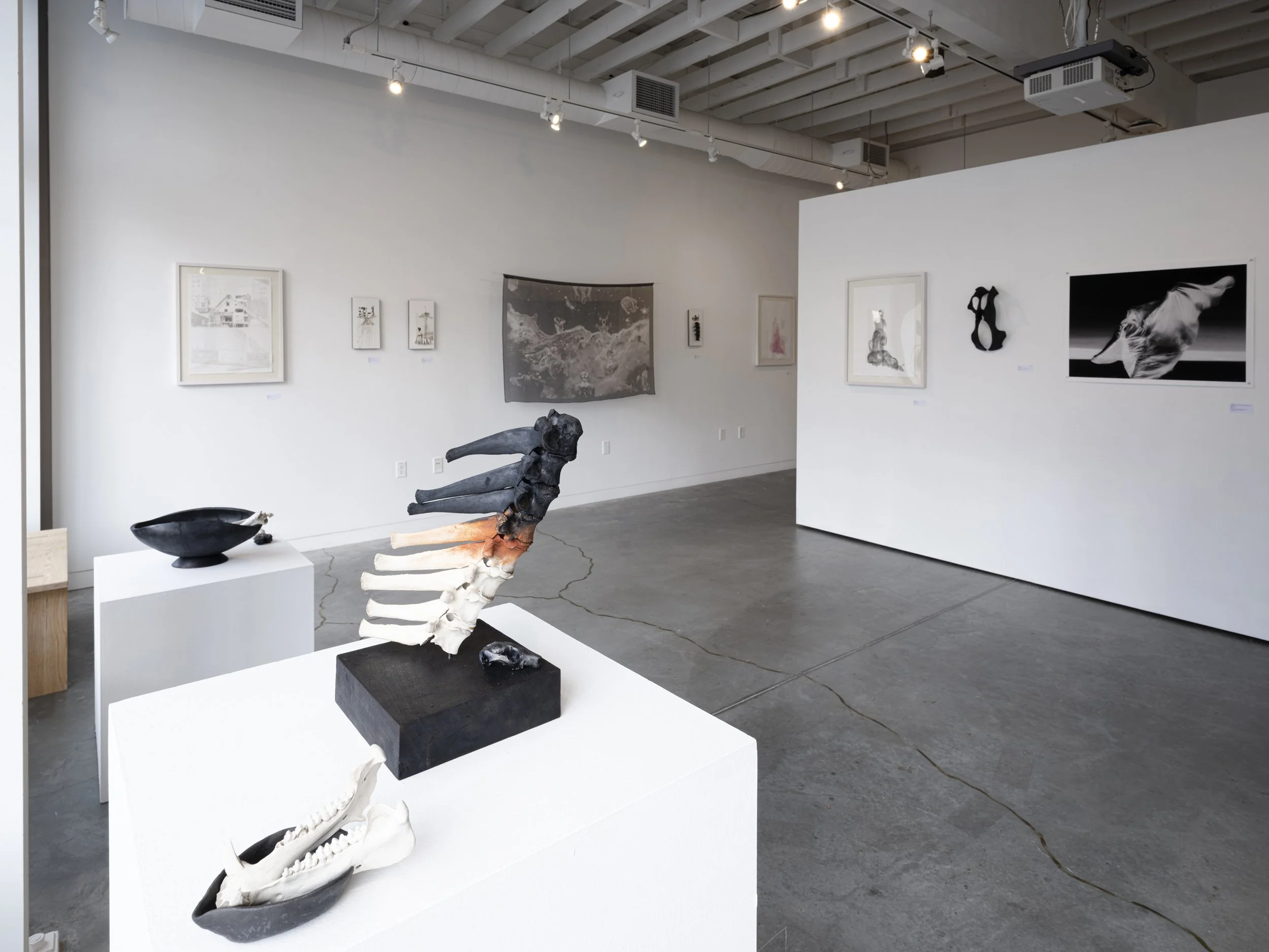 Installation view.
