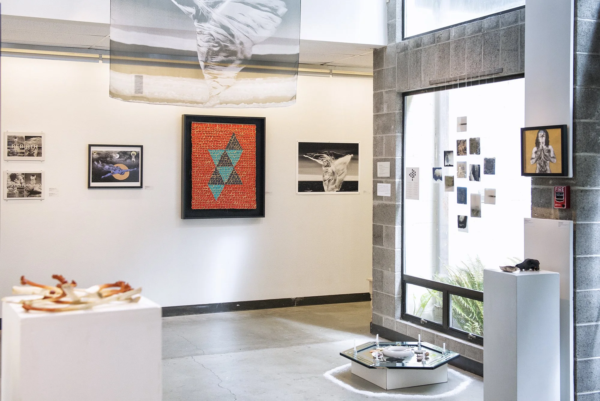 Installation view: Thanatopsis, 2026.