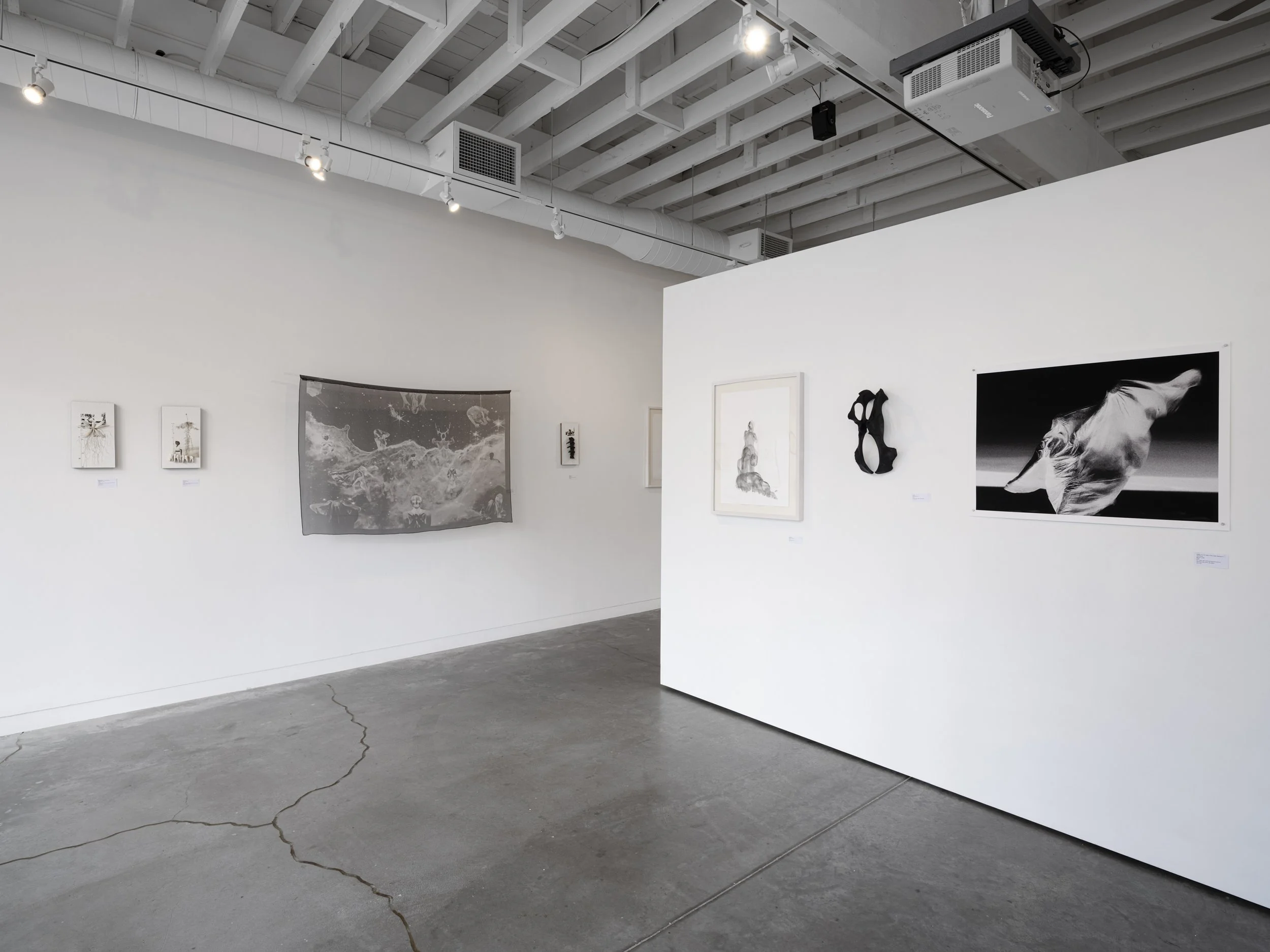 Installation view.