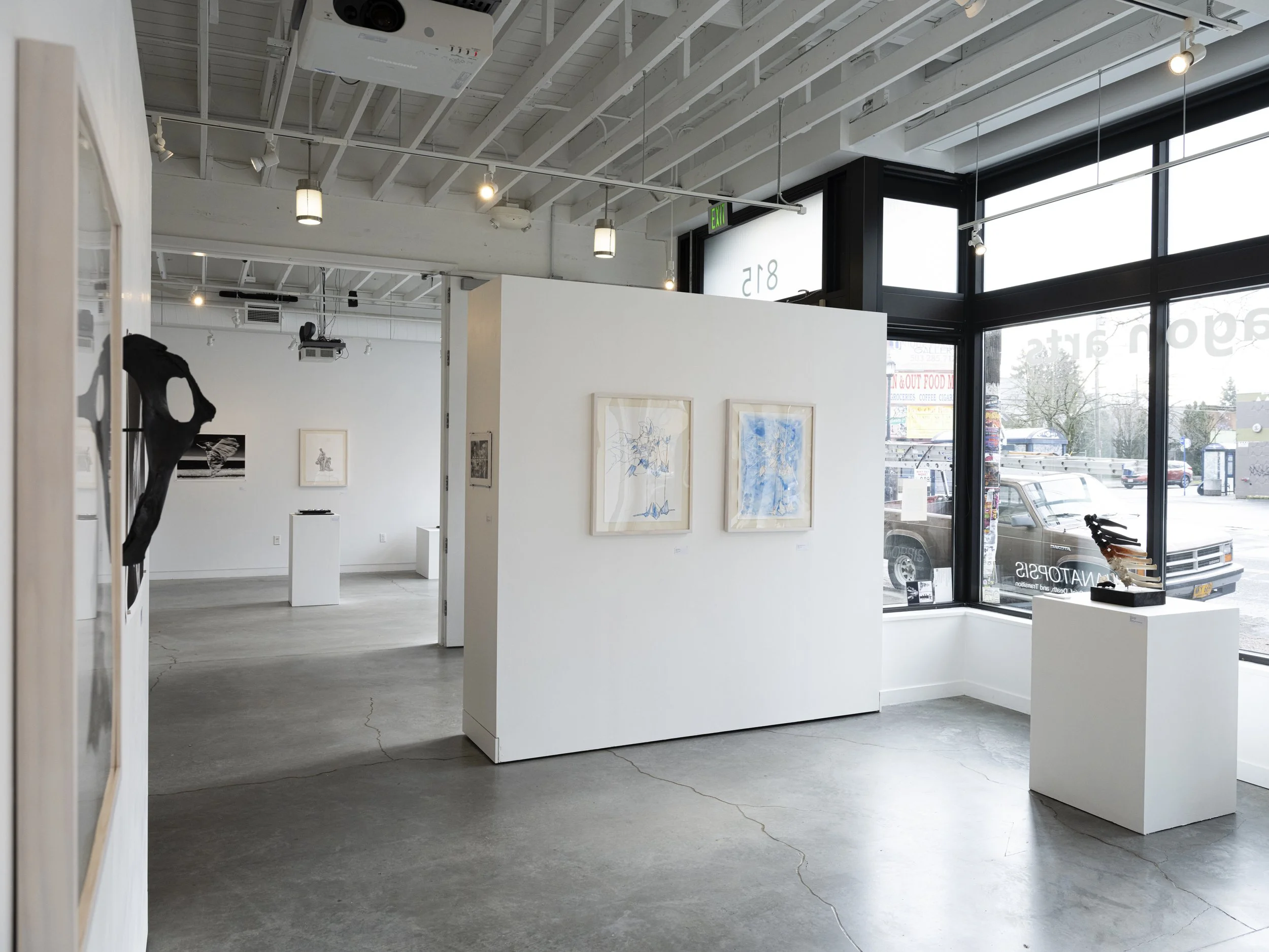 THANATOPSIS Installation view.