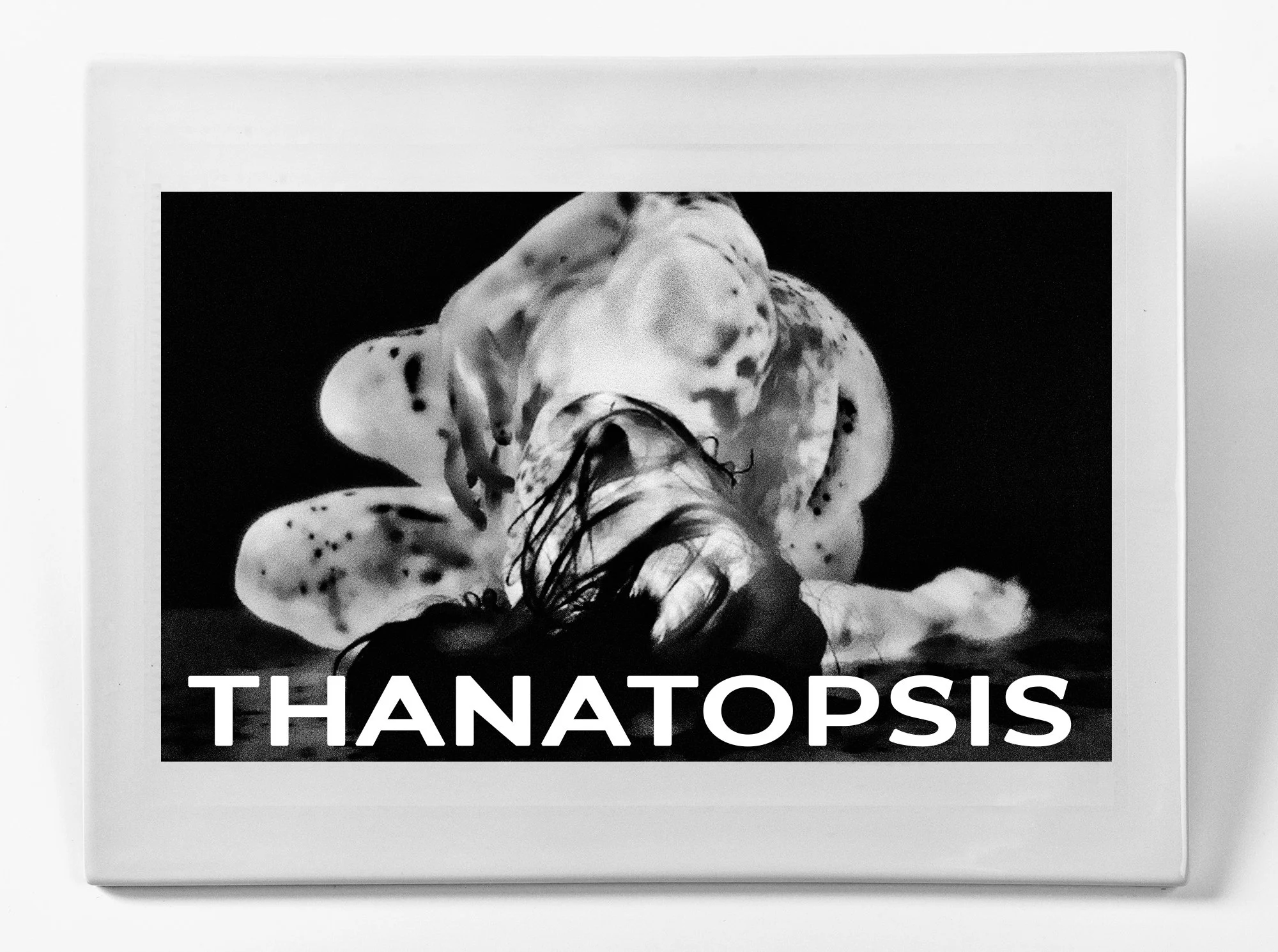 ' Death (Thanatopsis)', 10.25 x 14 x .30 inches, vitreous porcelain, infrared video still as photo decal, cork, 2025, unique.

Tile made at Arts/Industry, a residency program of the JMKAC, in Pottery Division, Sheboygan, WI.