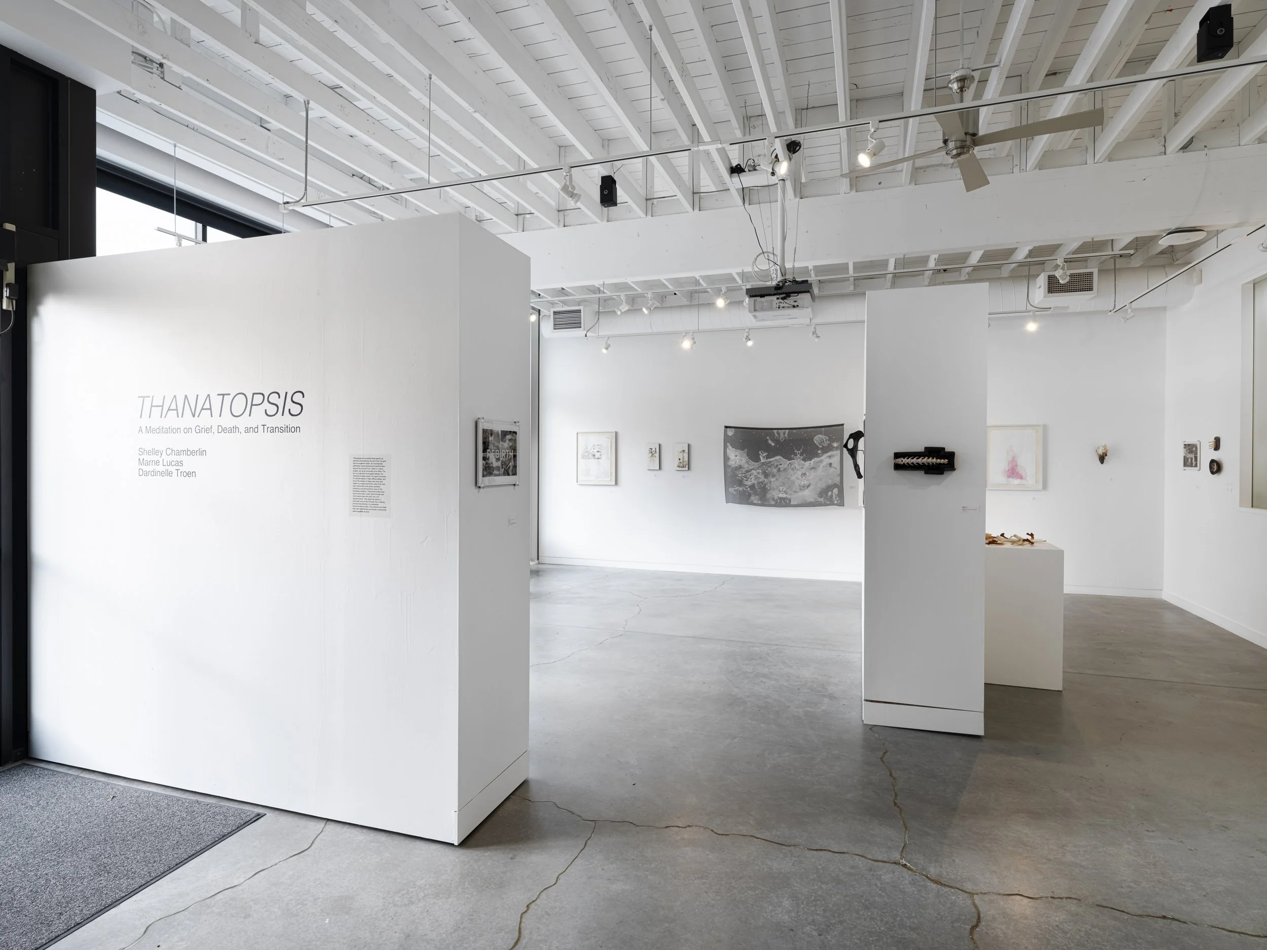 THANATOPSIS- installation view, Paragon Arts Gallery.