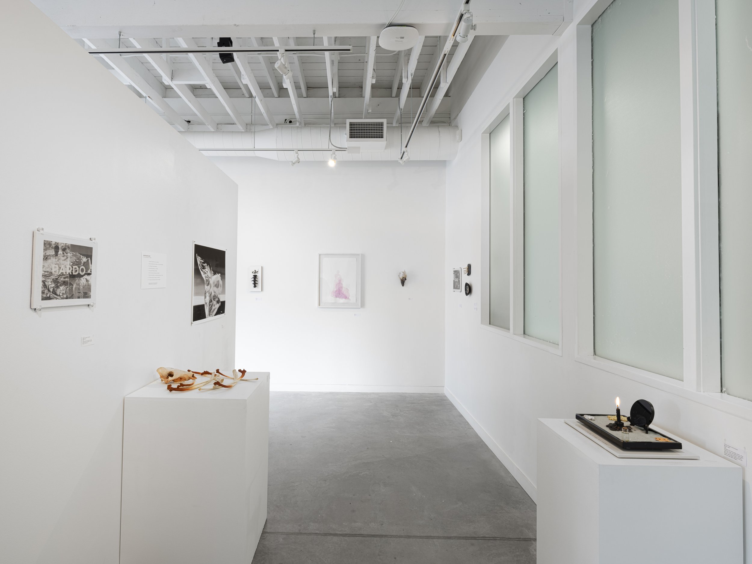 Installation view.