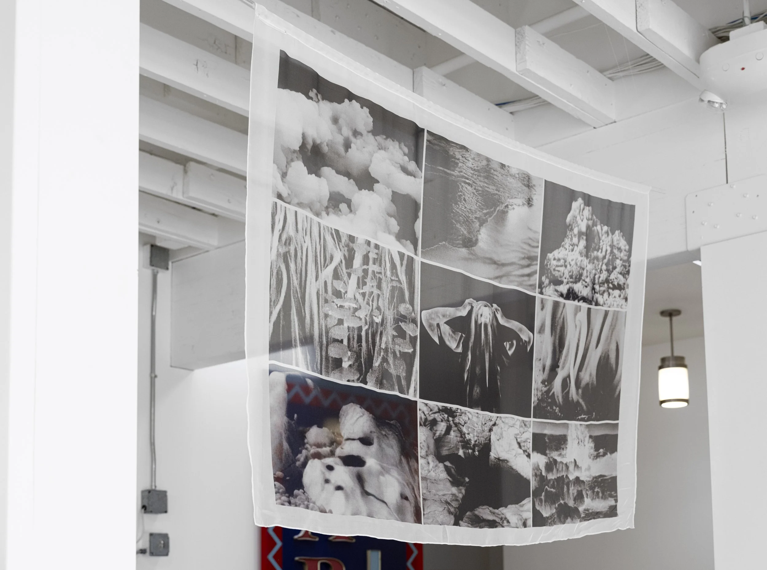 'Primordialscapes', 2025, archival pigment print, Royal Silk chiffon banner, plexiglass rod, 40 x 60 inches, unique.