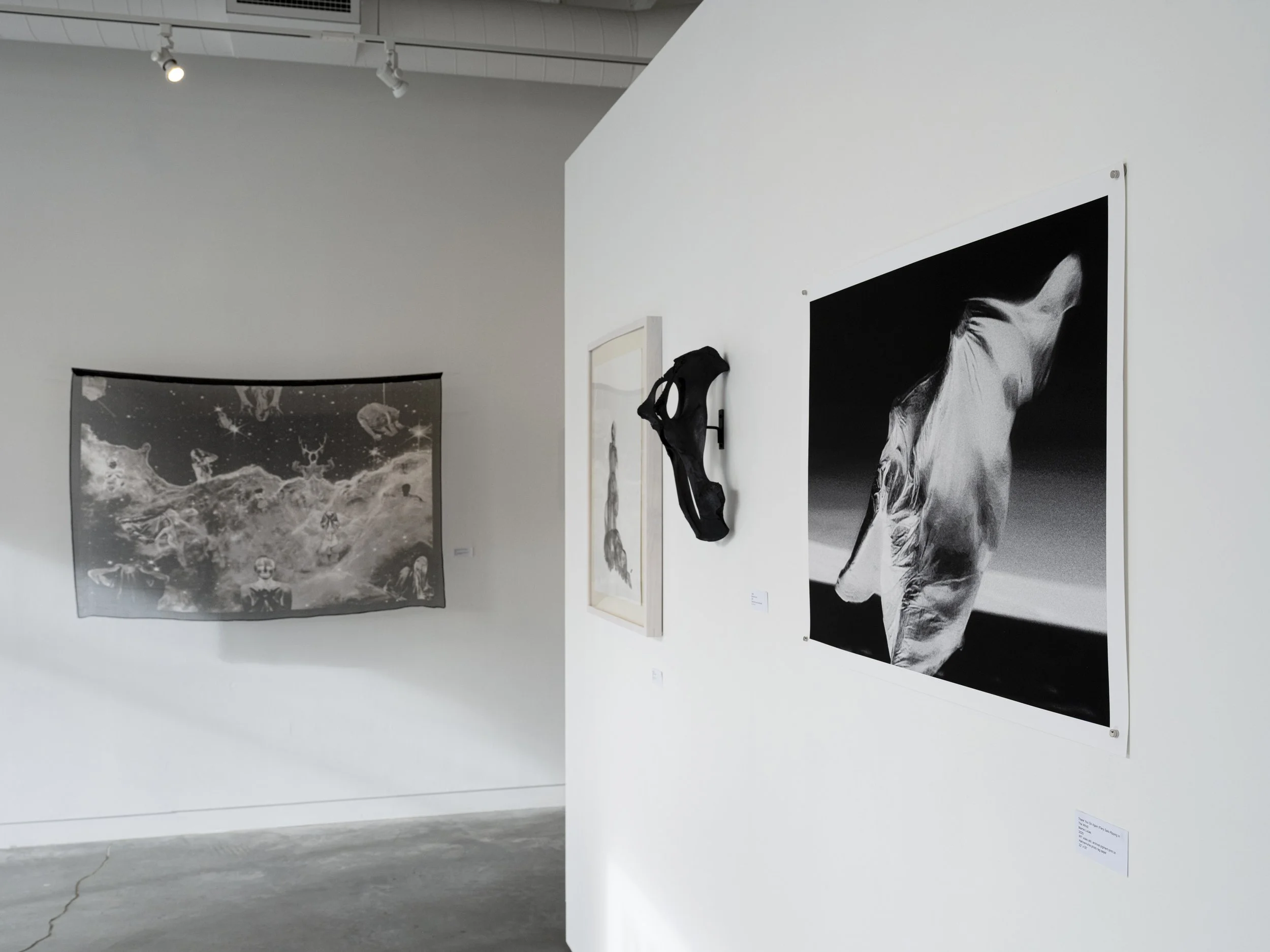 Installation view.