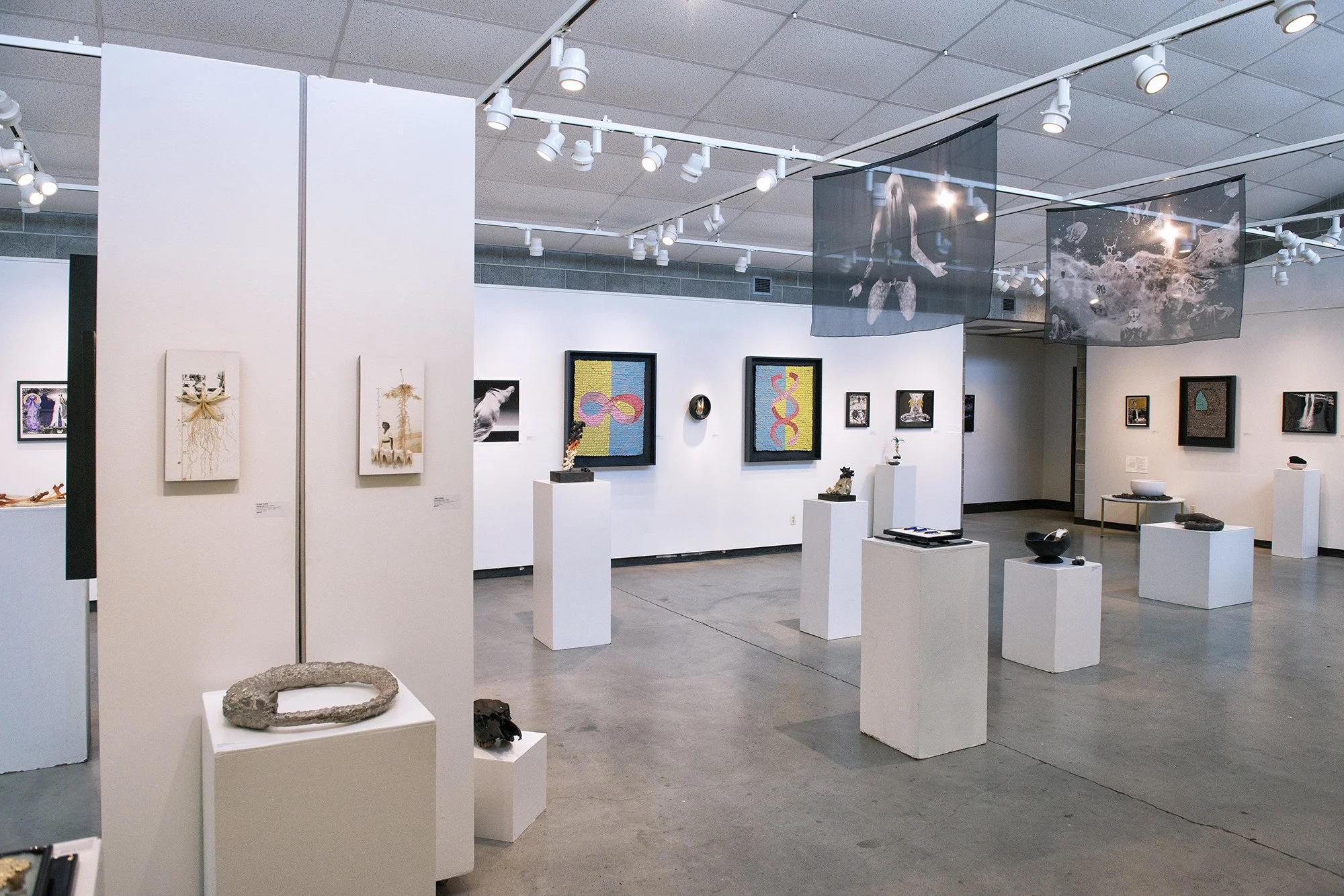 Installation view: Thanatopsis, 2026.