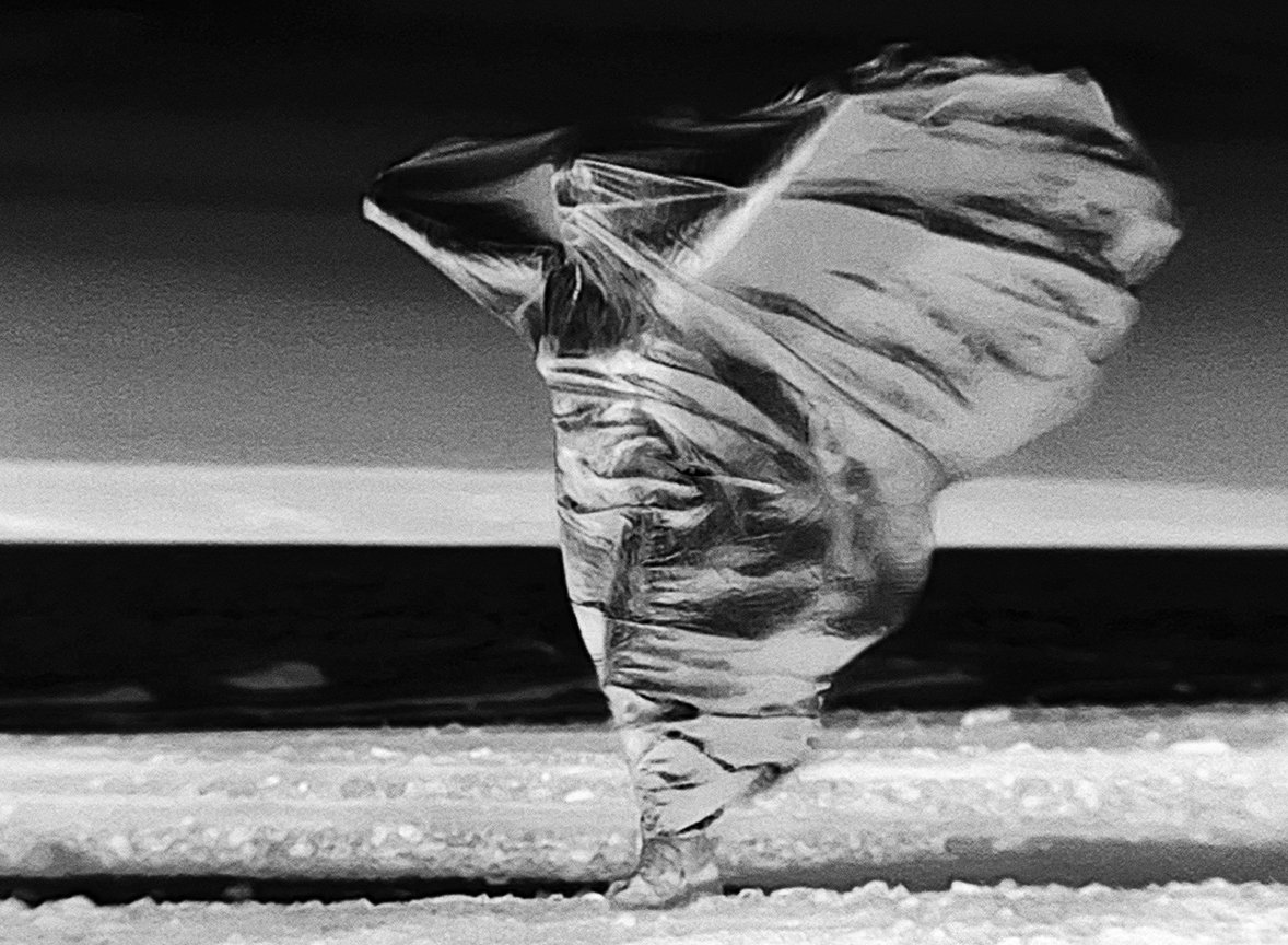 2025, archival pigment print on Hahnemuhle photo rag paper, 22 x 30 inches.

Infrared thermal video still shot at a 2025 PLAYA Summerlake artist residency.
From the exhibition 'THANATOPSIS: A Meditation on Grief, Death, and Transformation' at Paragon