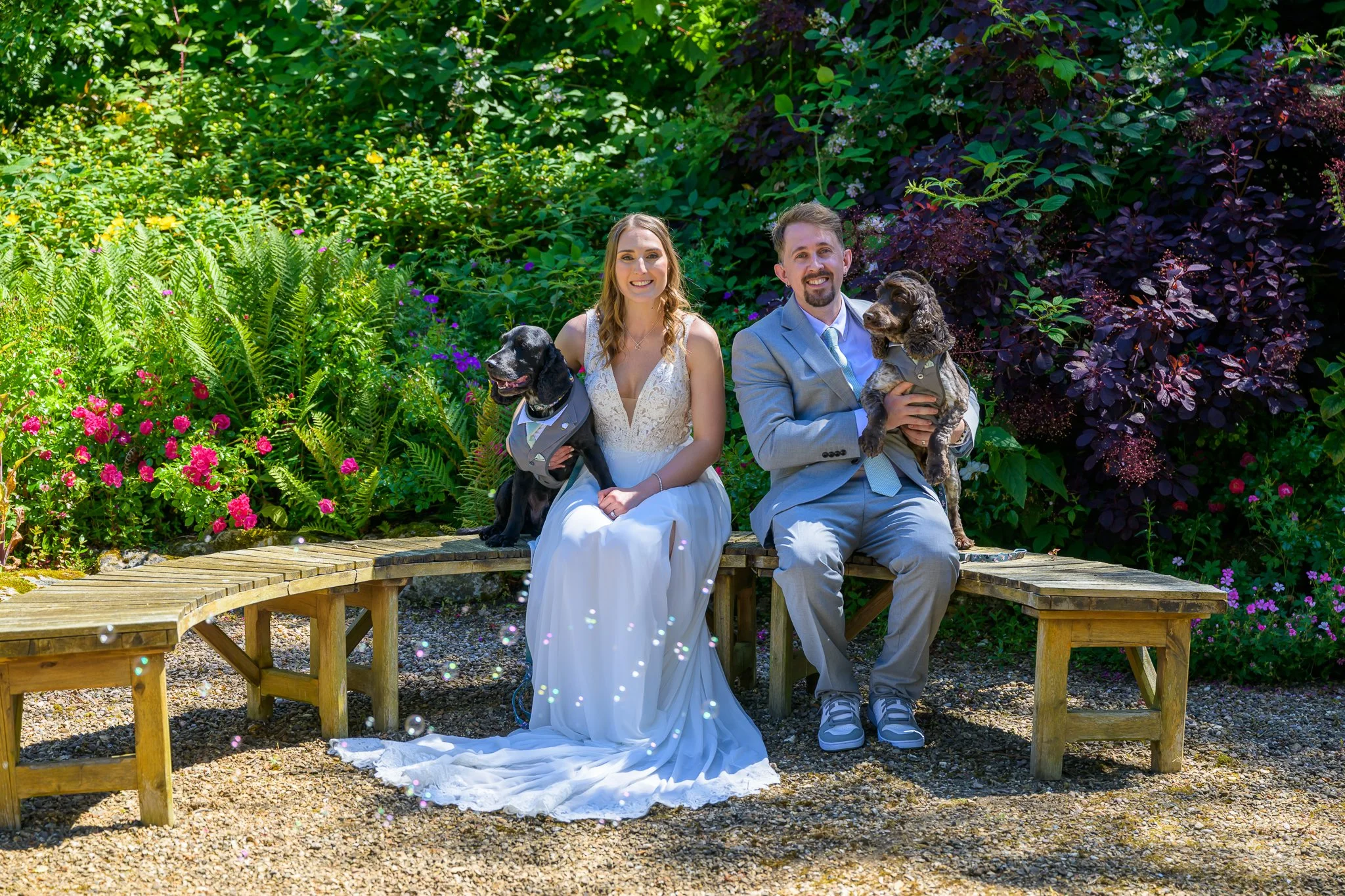 A bride and groom holding their pets while sat on a bench