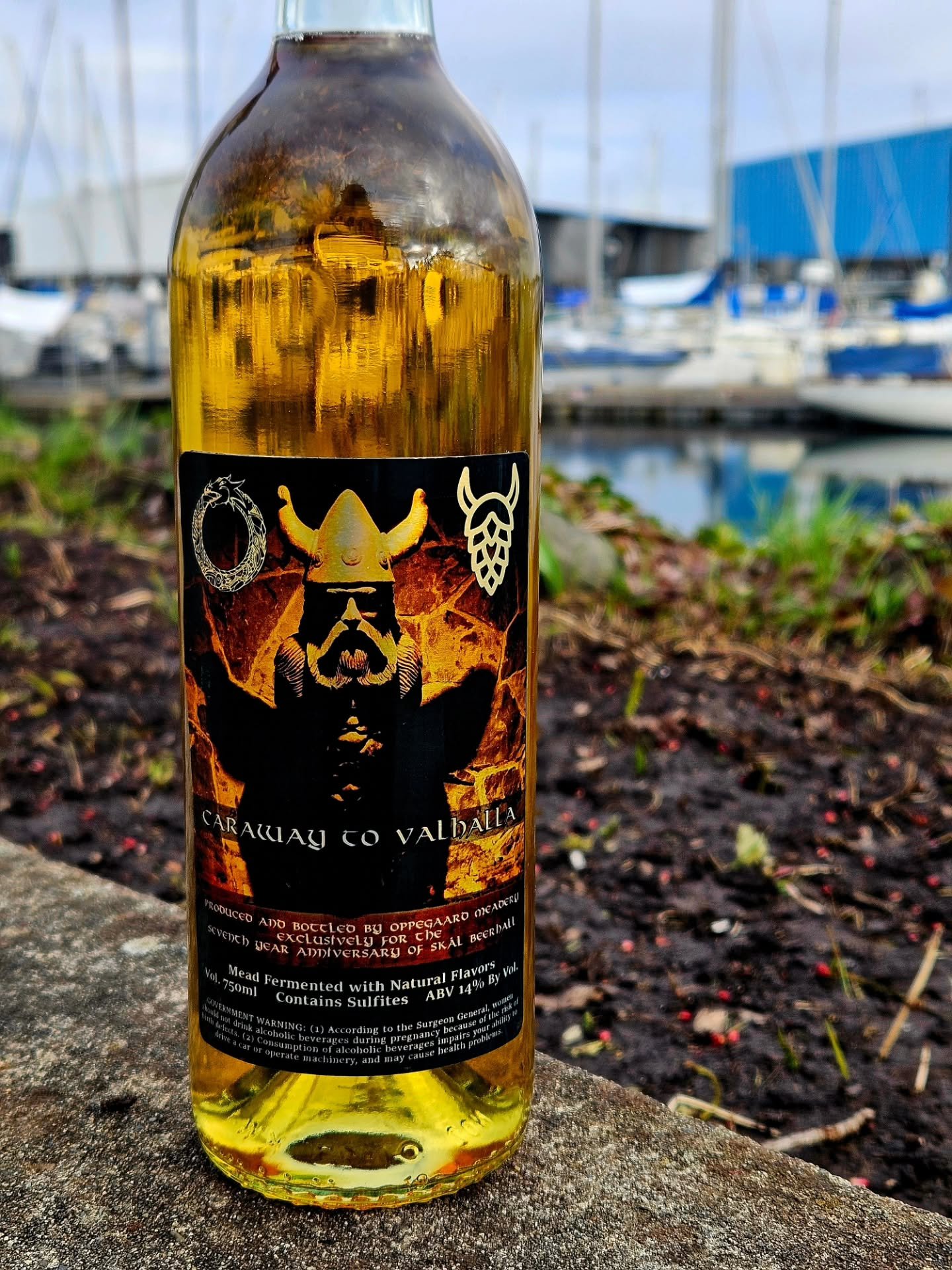 One more week until we launch or Caraway to Valhalla mead collab with @oppegaard_meadery 😮🍾

We'll have a limited supply of bottles available for purchase and they're gonna go fast!! Come to our Anniversary Party and Makers Market next Sunday, Marc