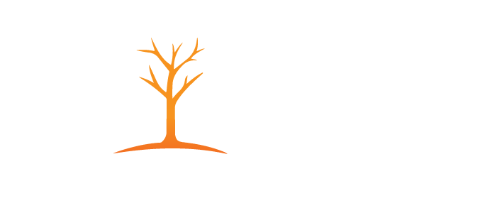 Priority Landscape Construction