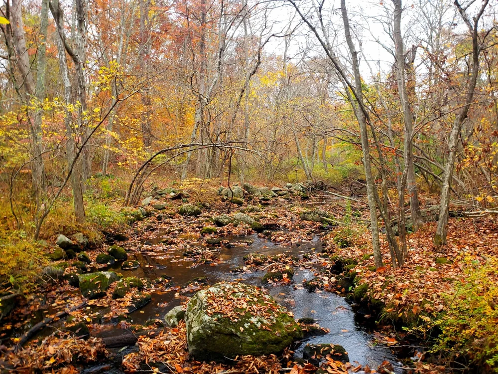 Tri Town Trail Association