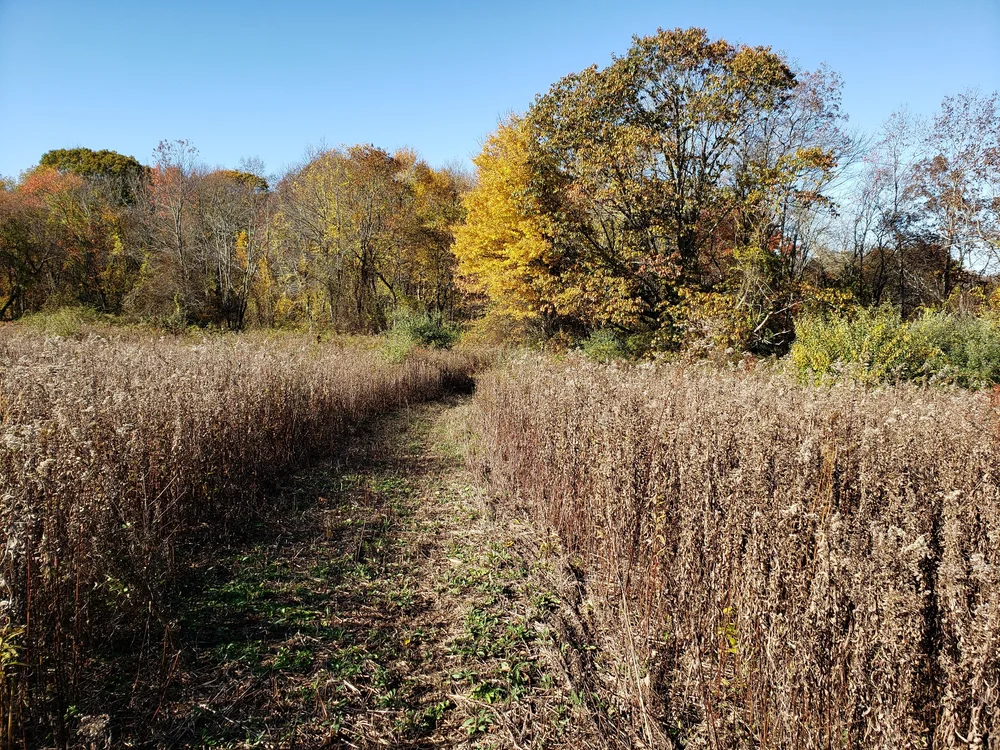 Tri Town Trail Association