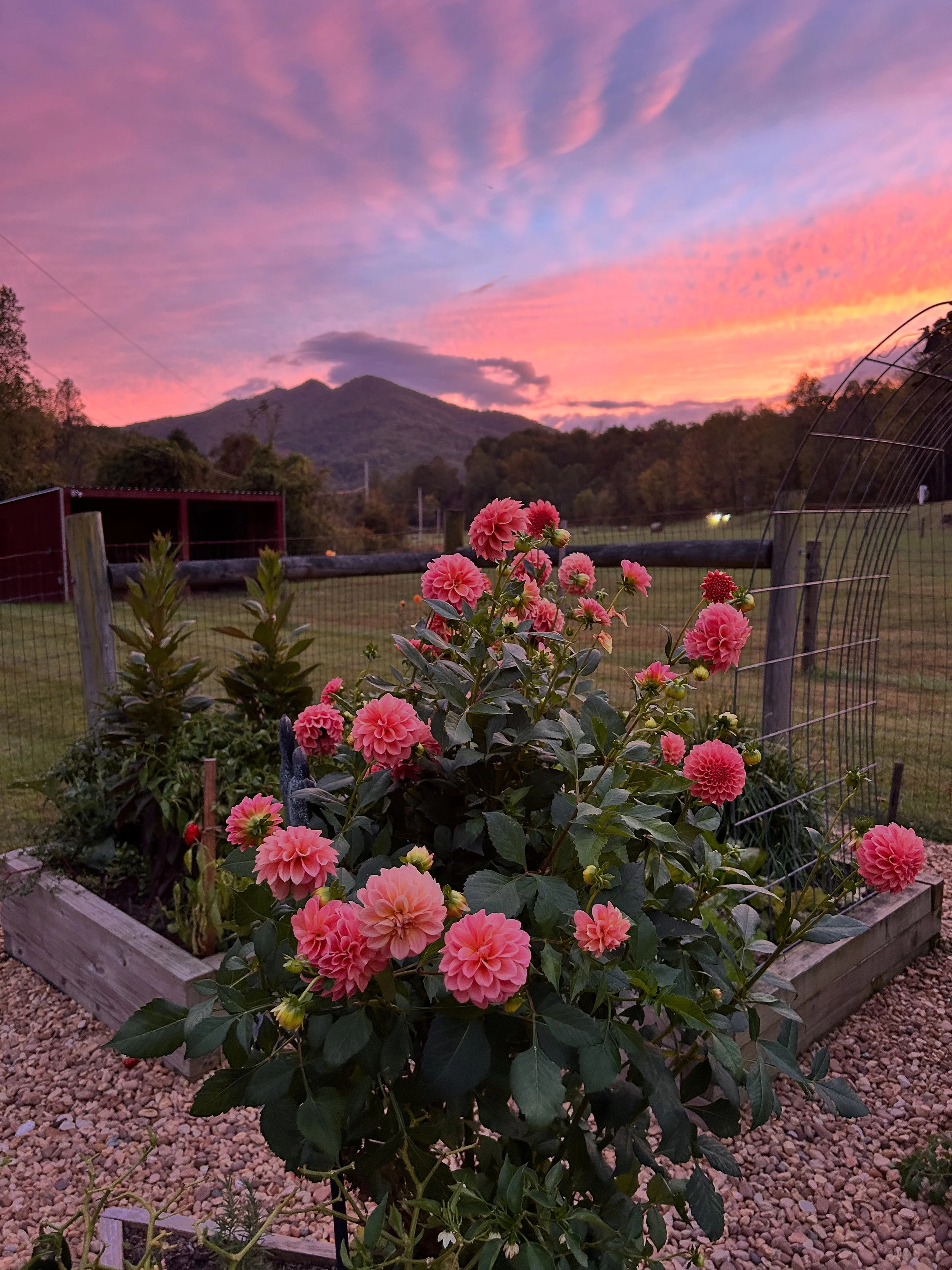 Heirloom Springs Women's Signature Retreat