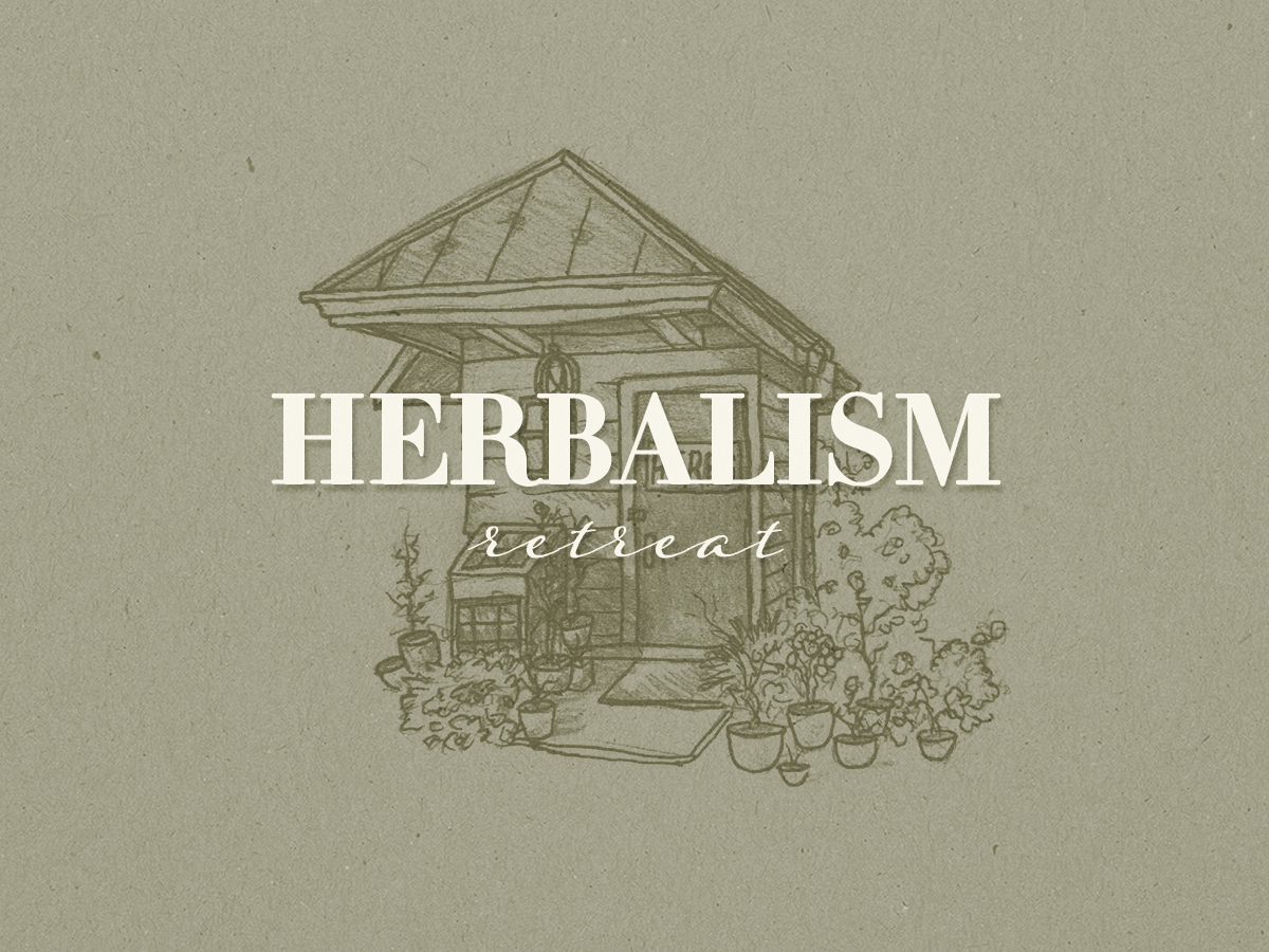 Herbalism in the Blue Ridge: June 18 - 20, 2027