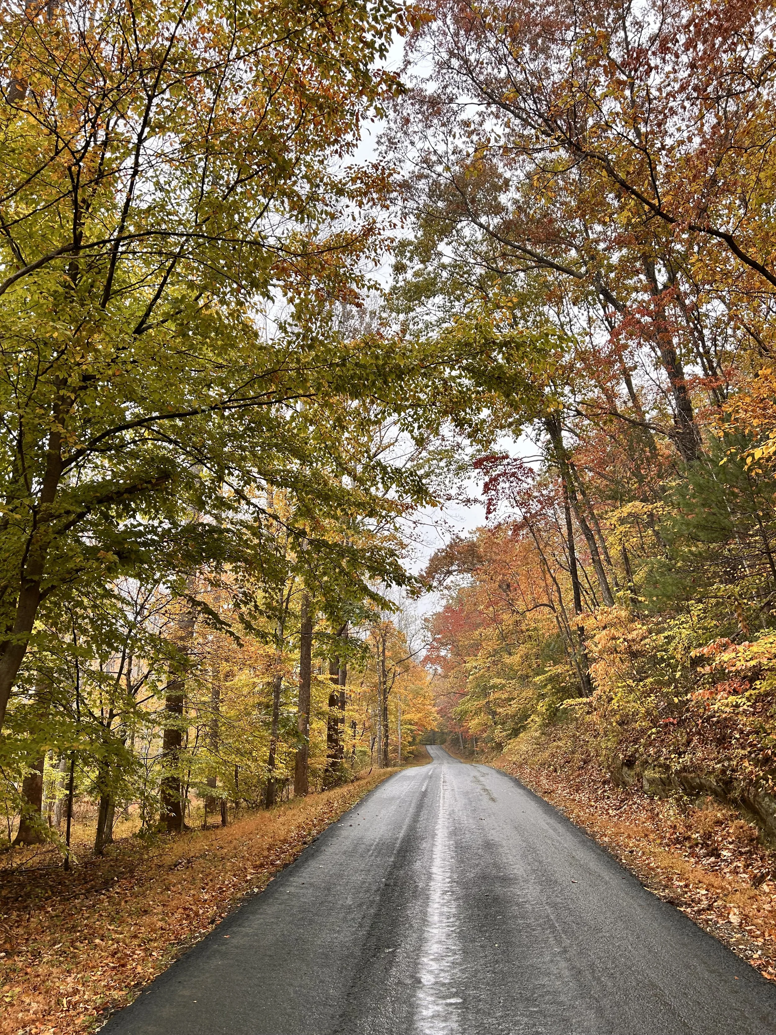 The Journey Is Part of It