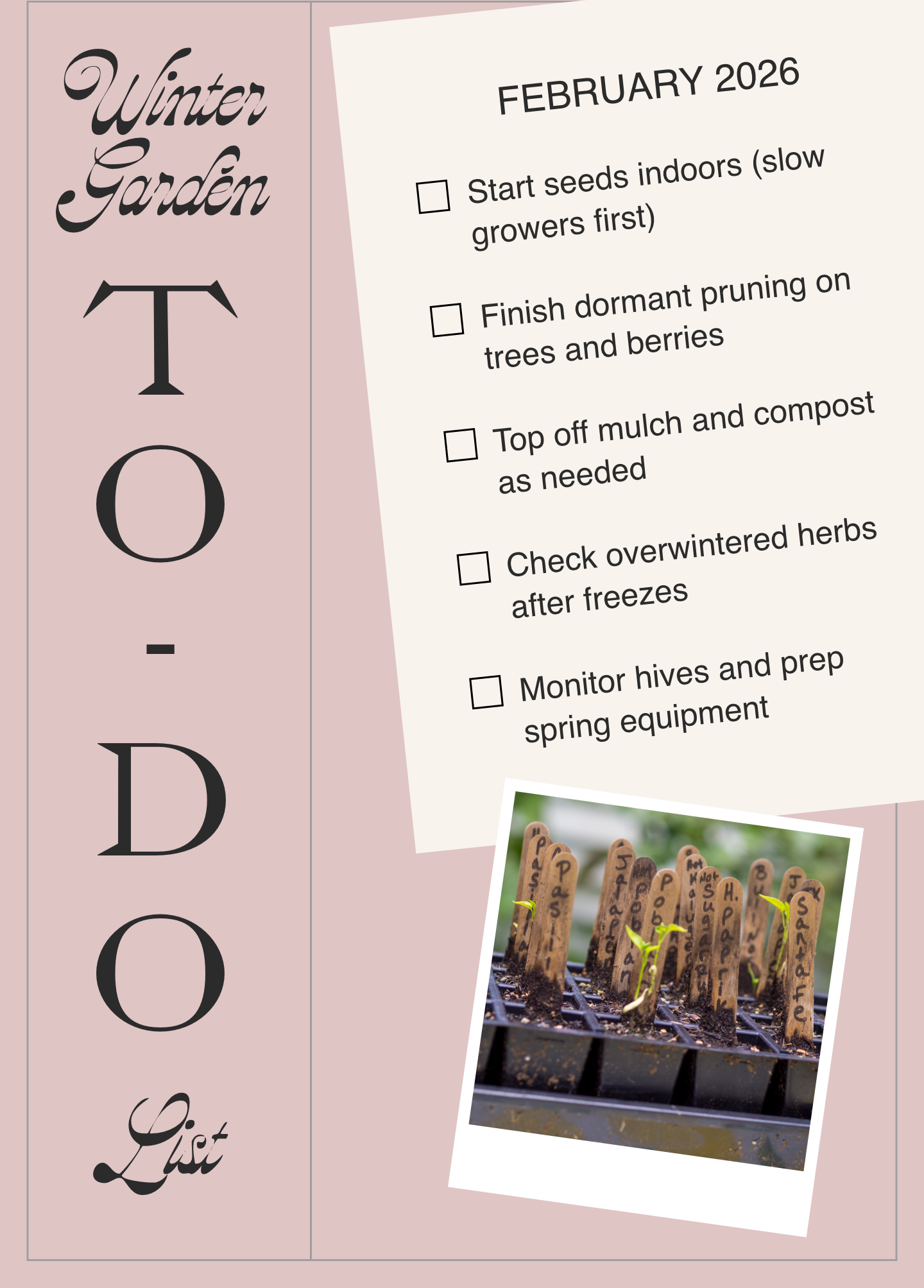 February always feels like a quiet turning point.