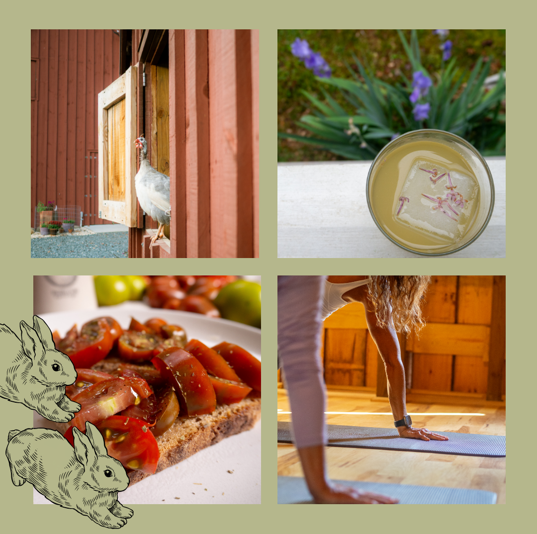 2026 is the International Year of the Woman Farmer