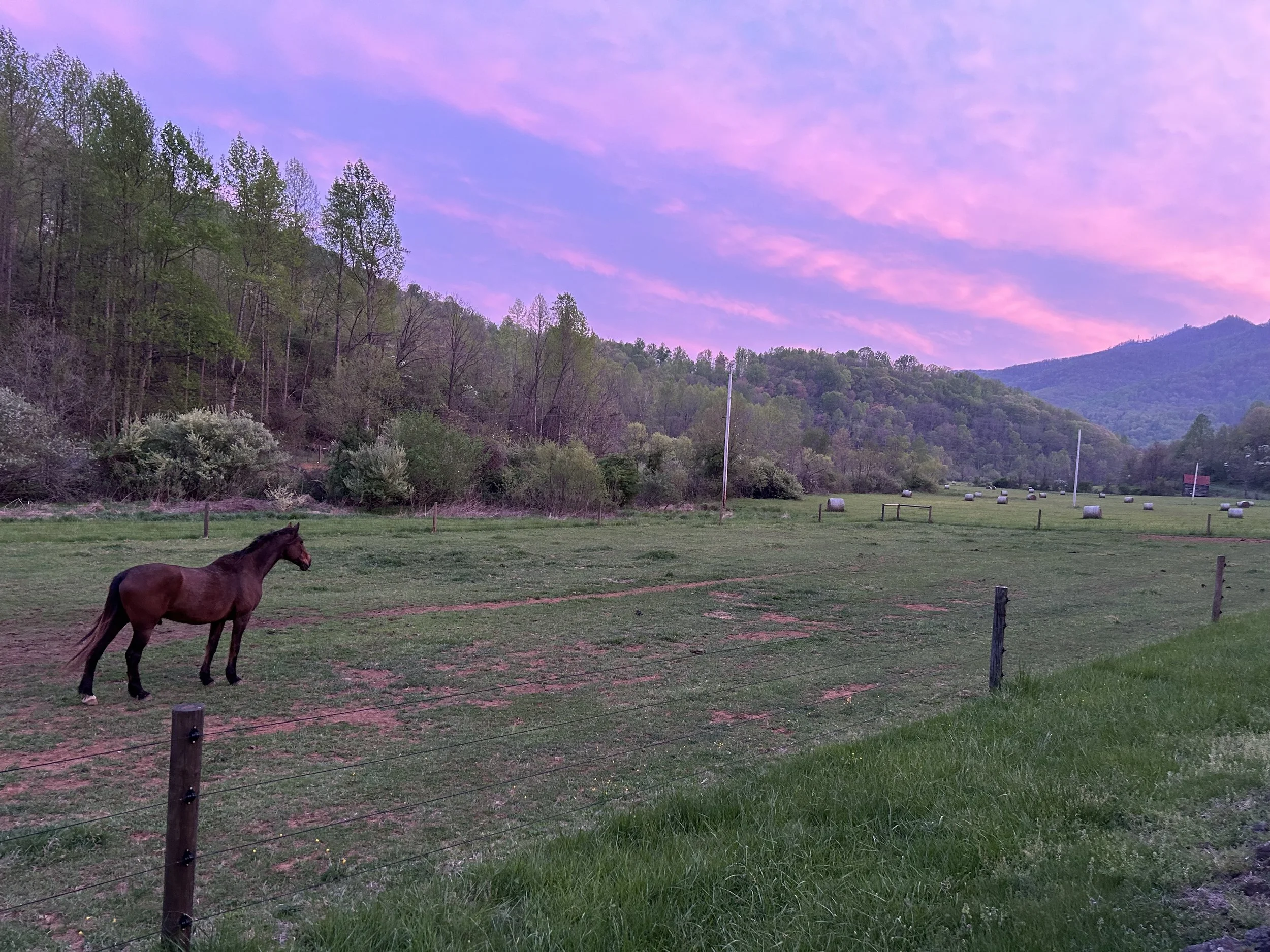 Life on the Farm in 2025